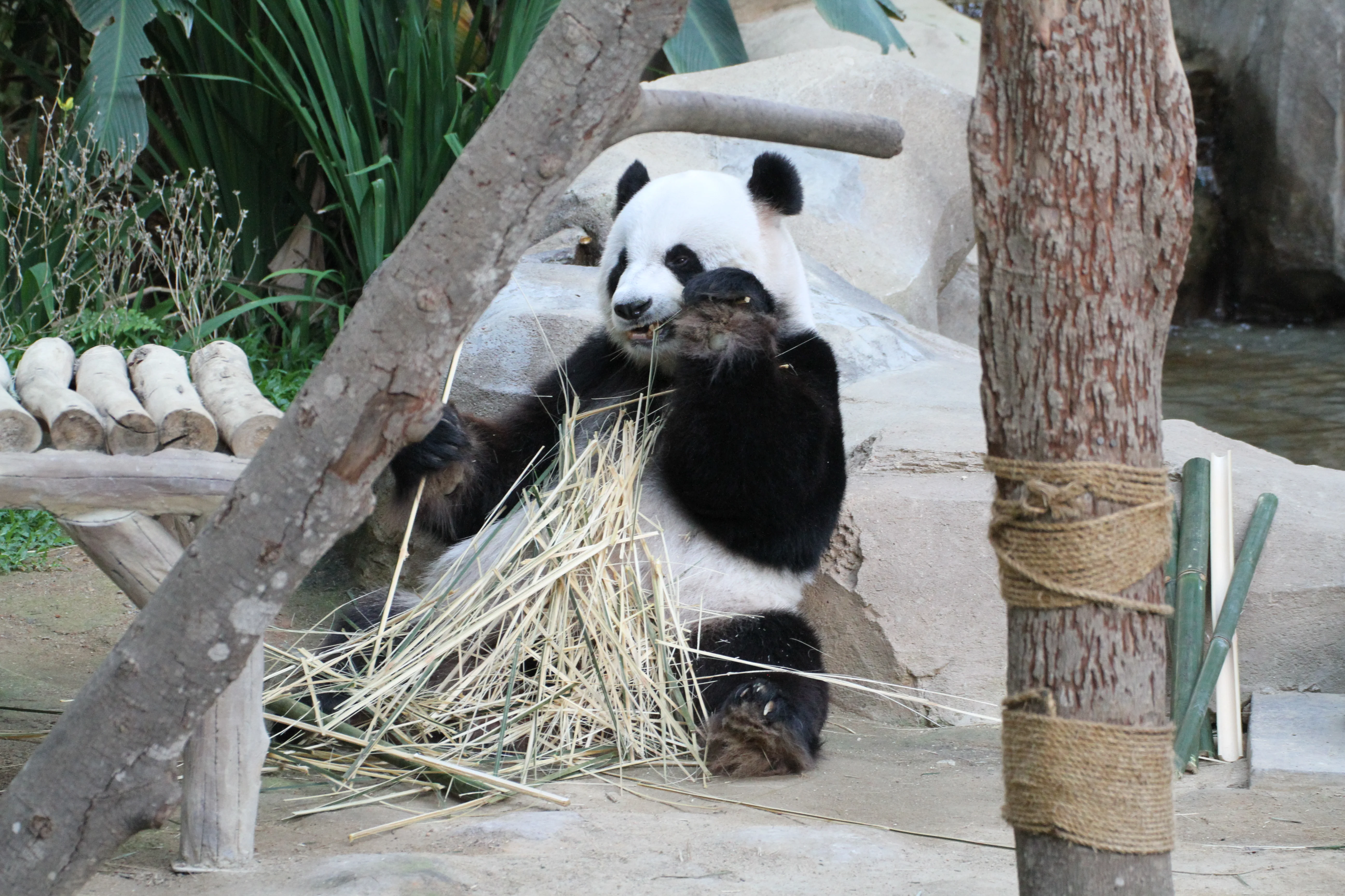 Zoo Negara Malaysia