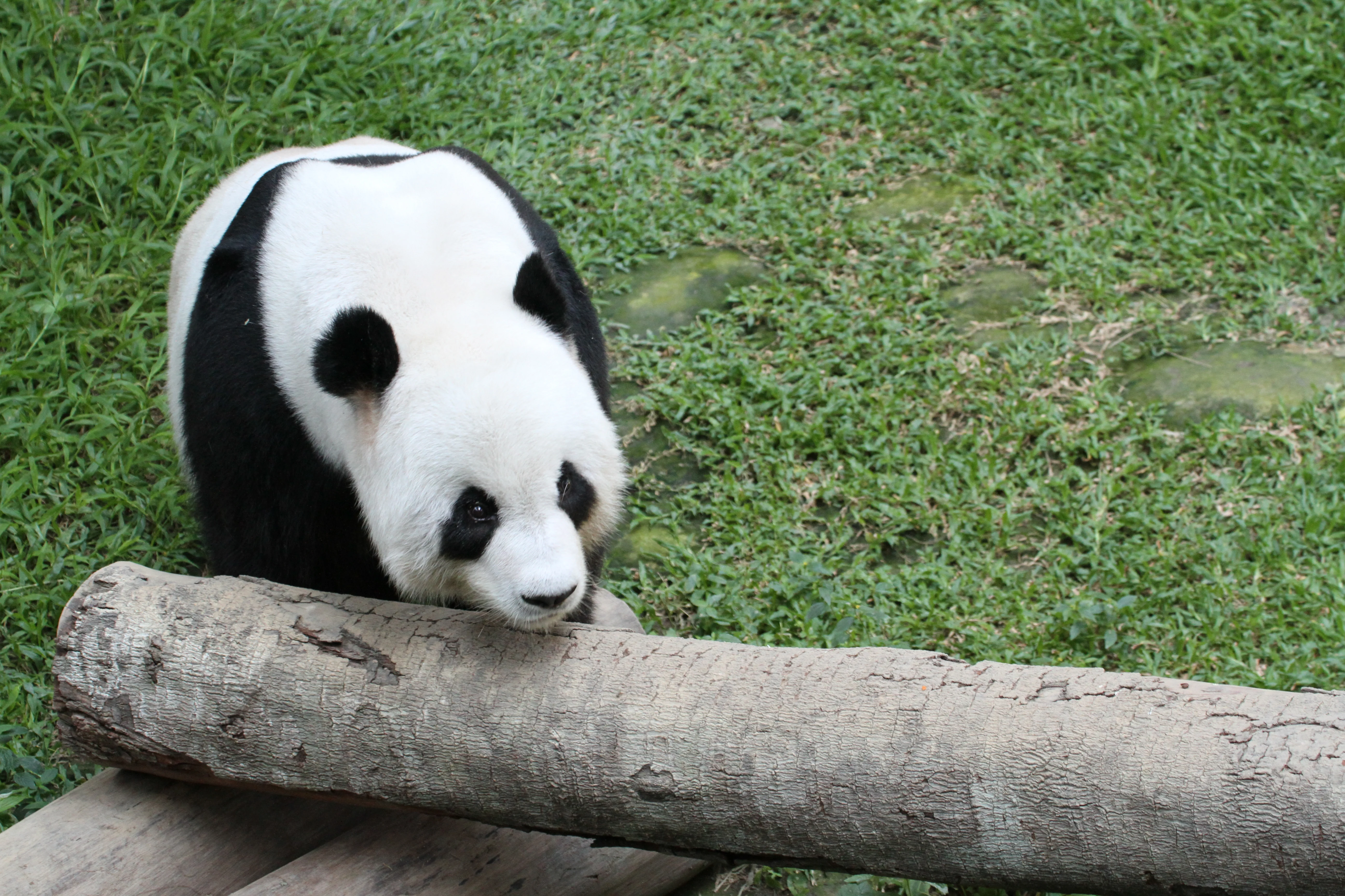 Zoo Negara Malaysia