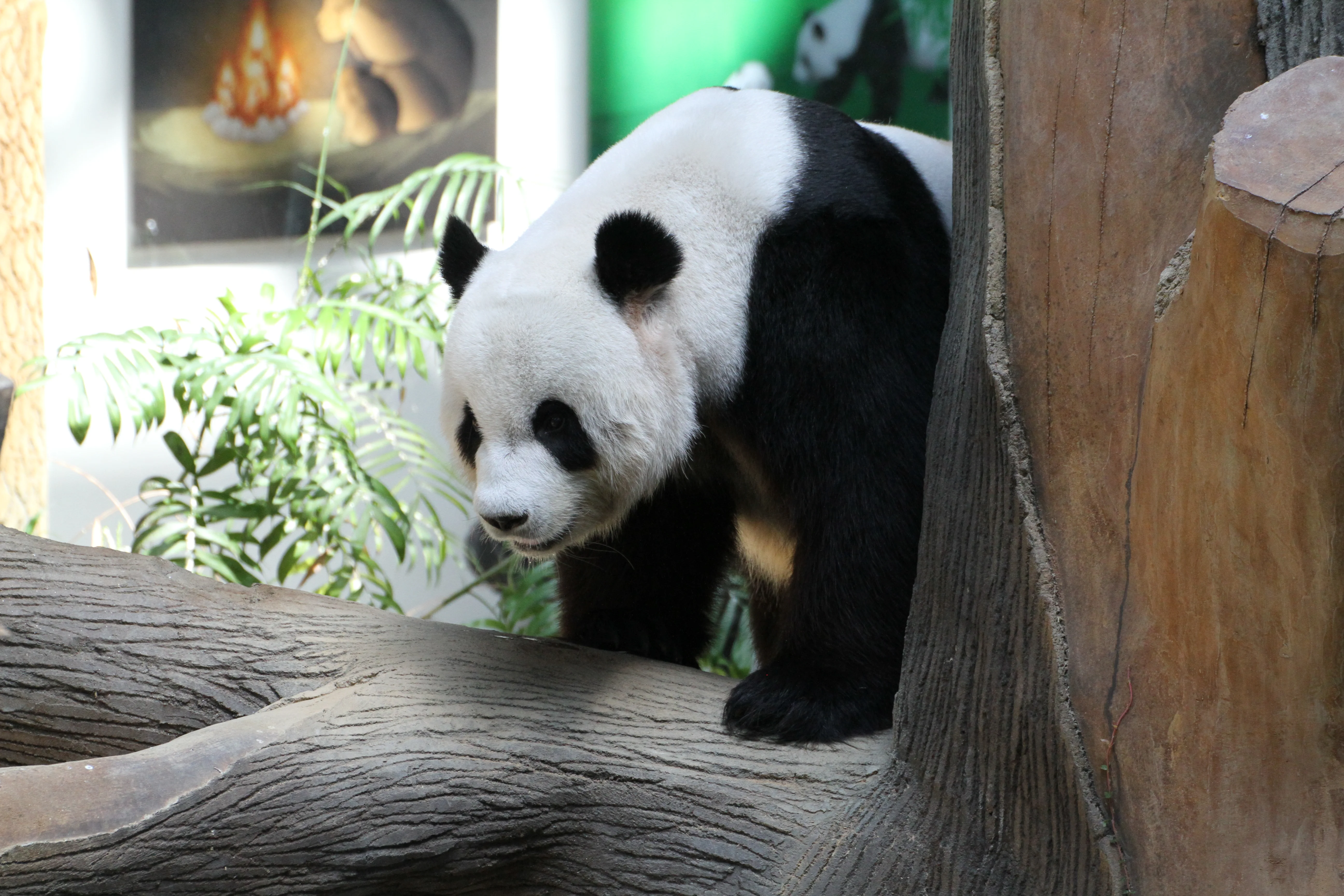 Zoo Negara Malaysia