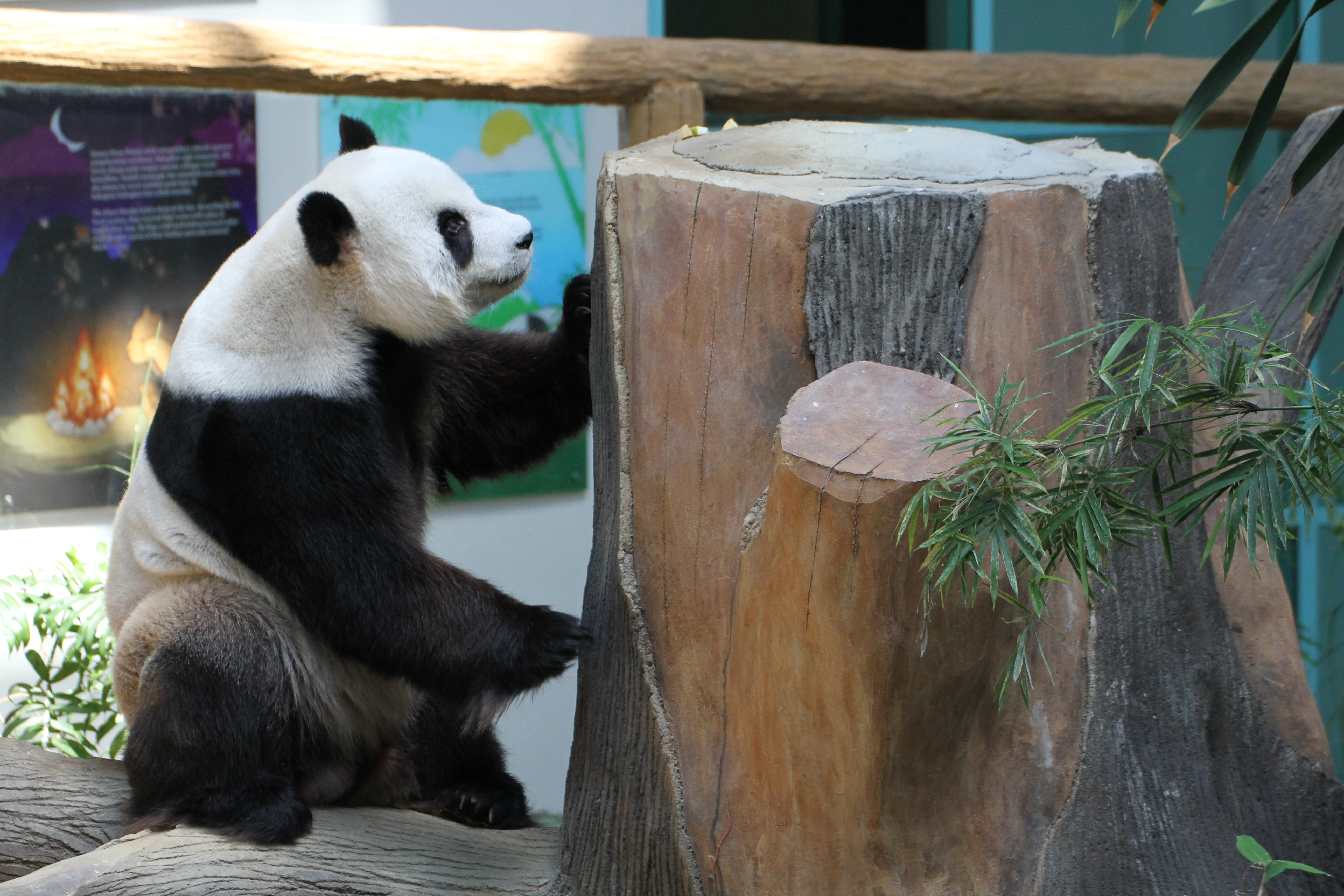Zoo Negara Malaysia