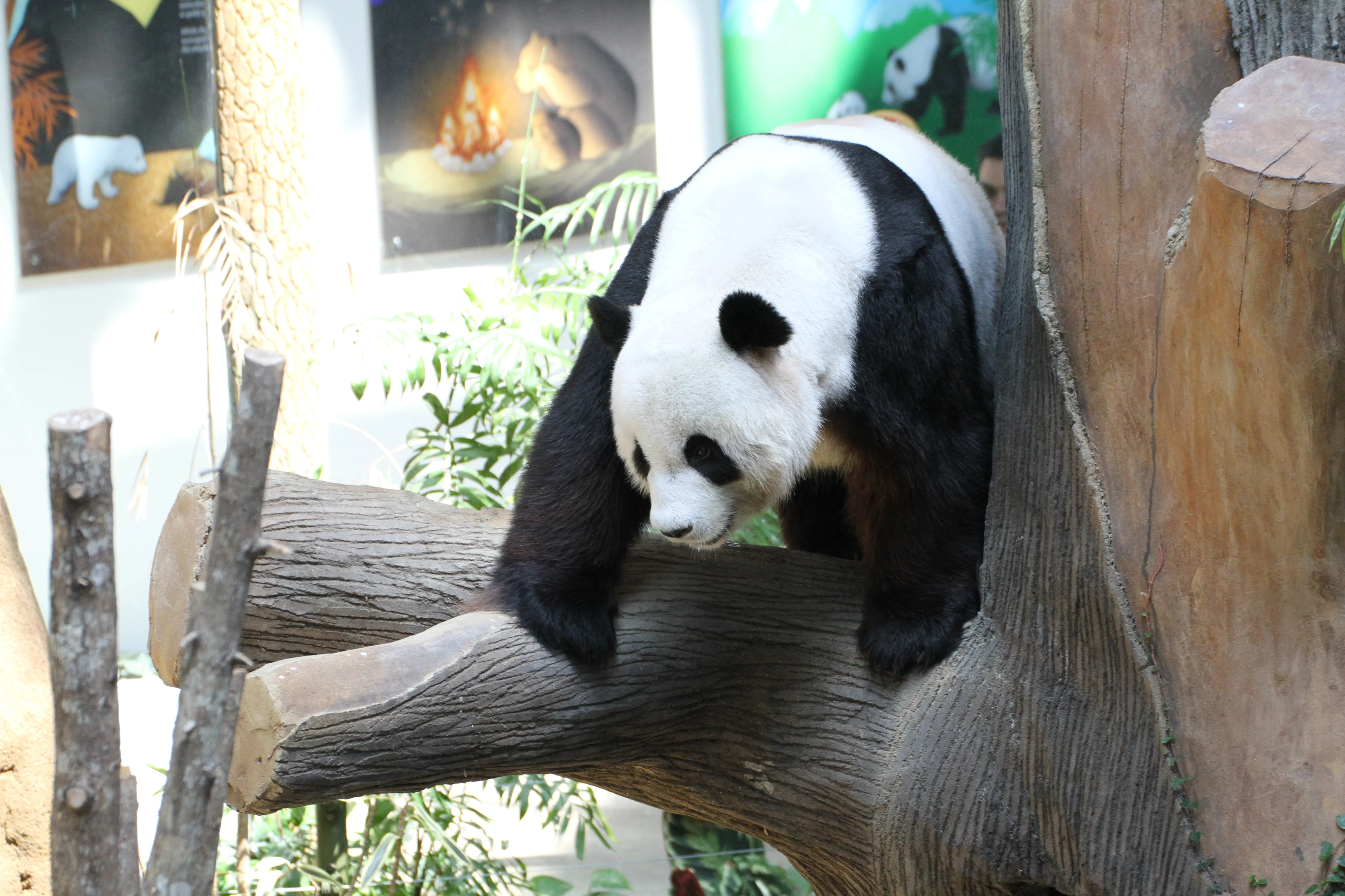 Zoo Negara Malaysia