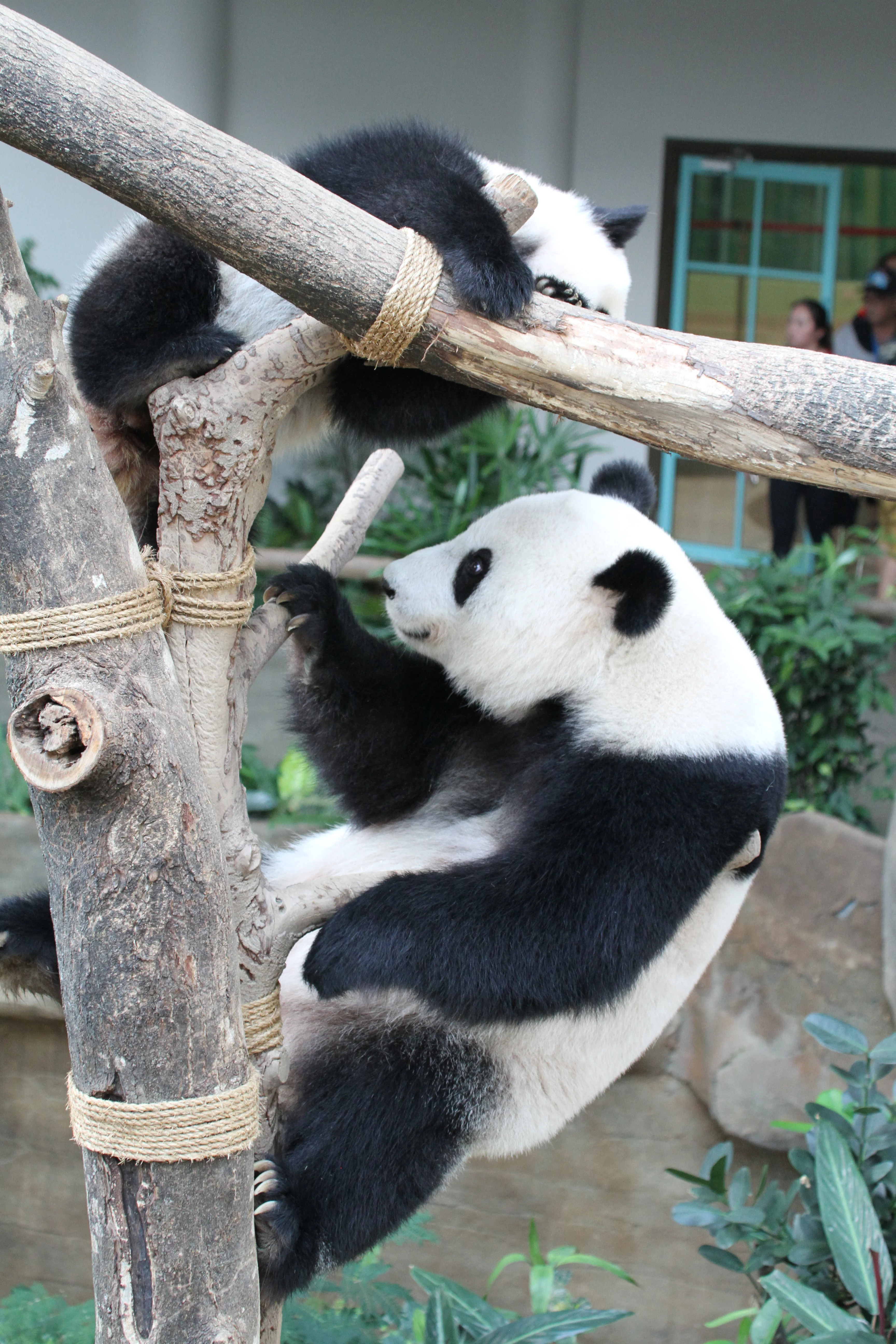 Zoo Negara Malaysia