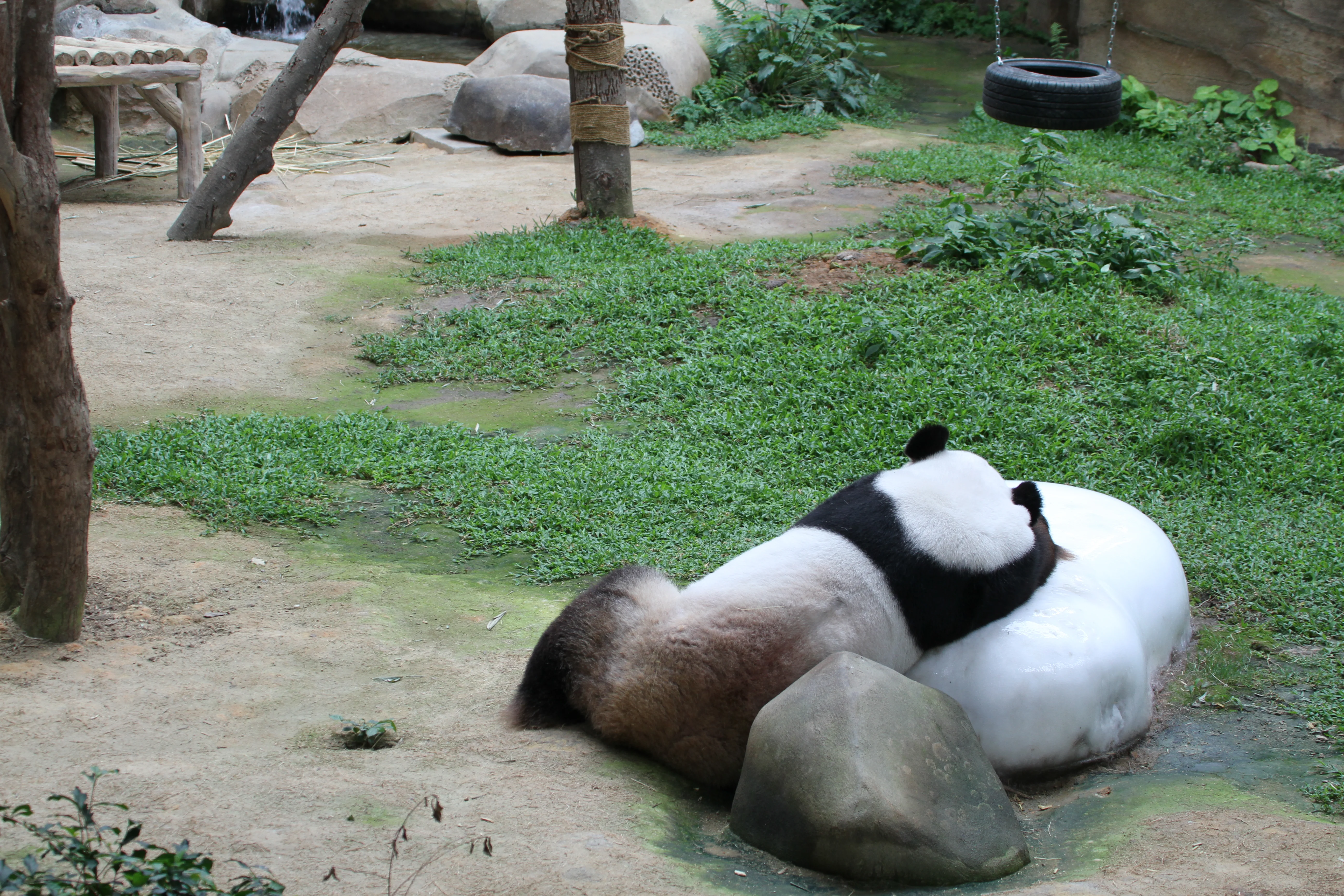 Zoo Negara Malaysia