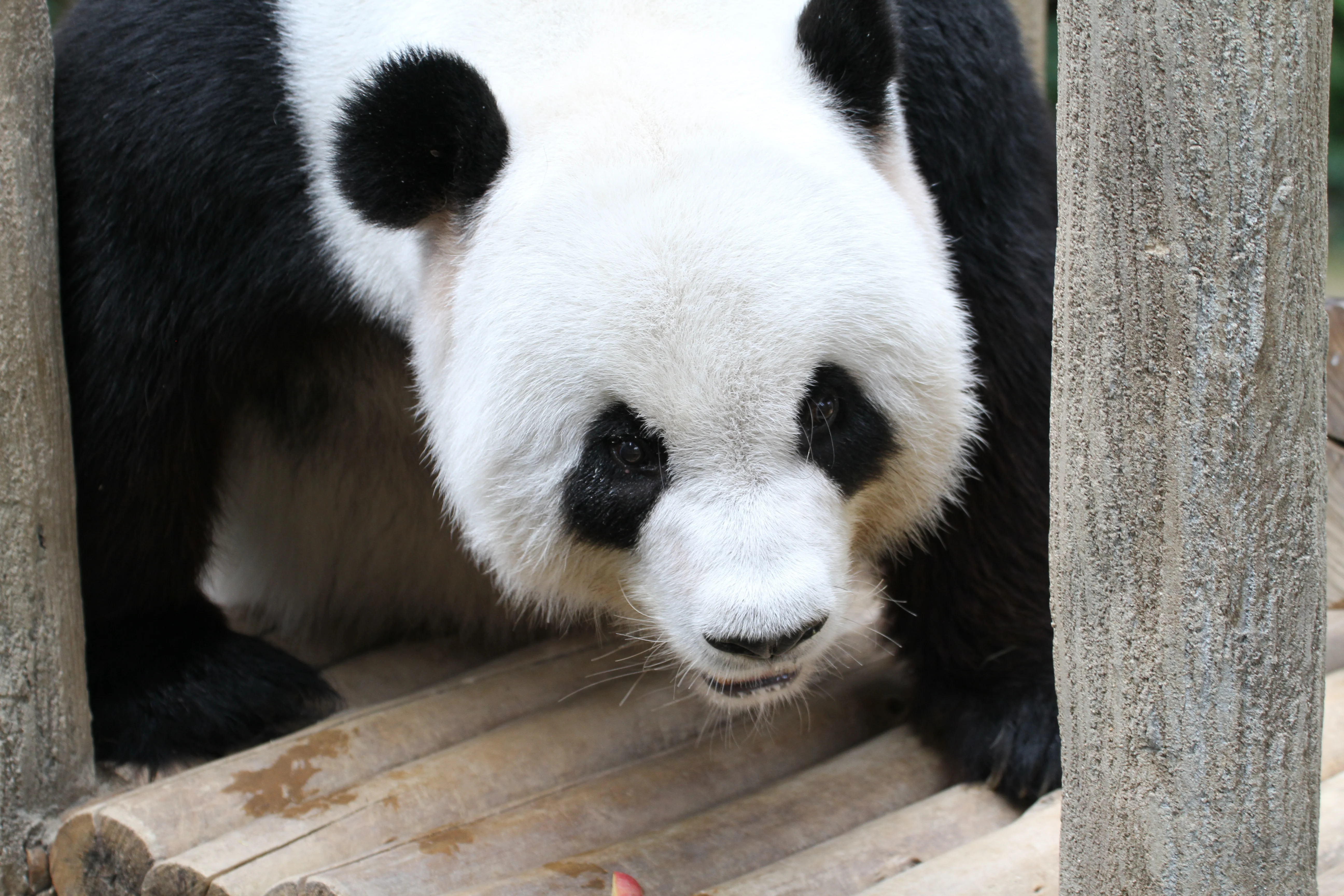 Zoo Negara Malaysia