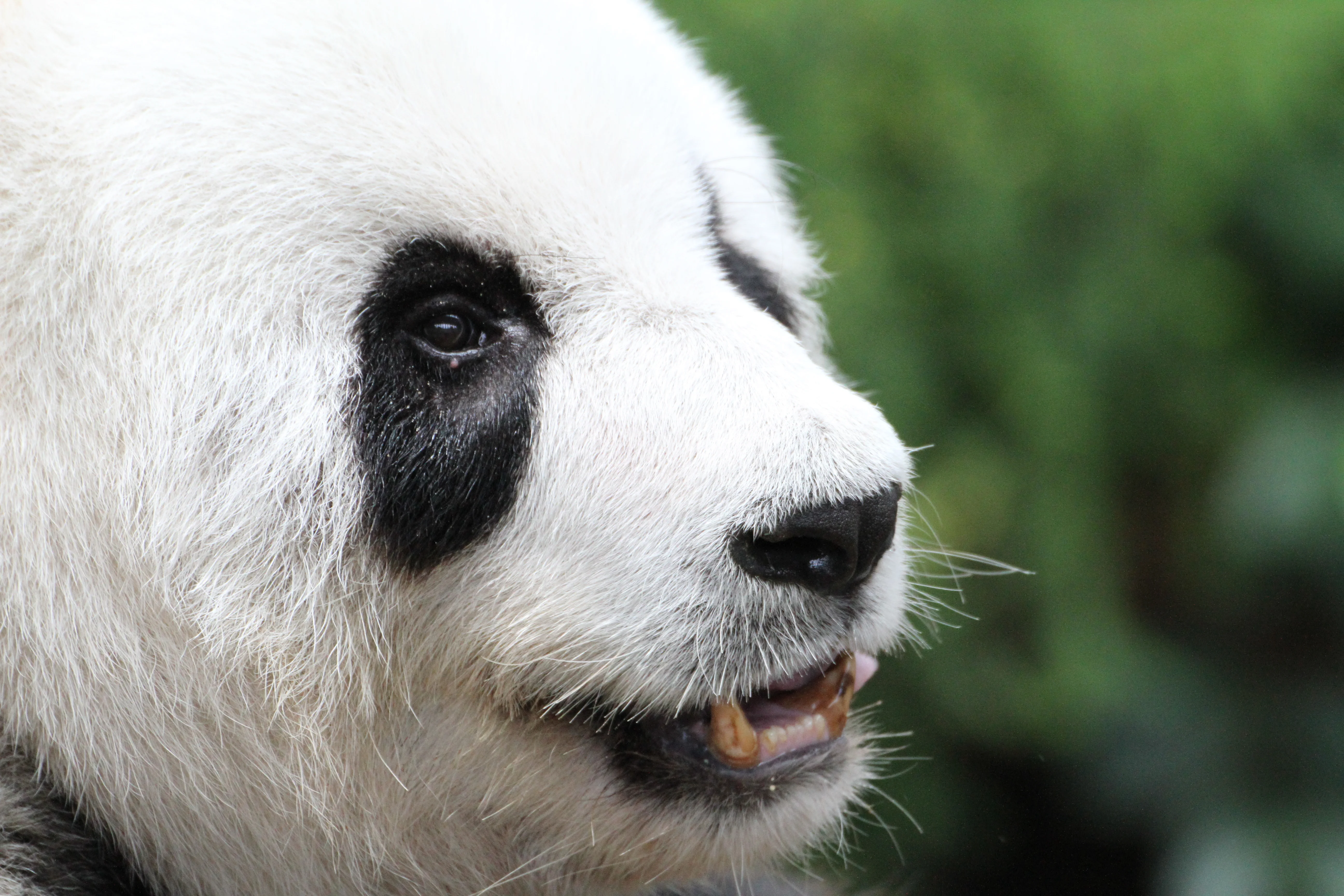 Zoo Negara Malaysia