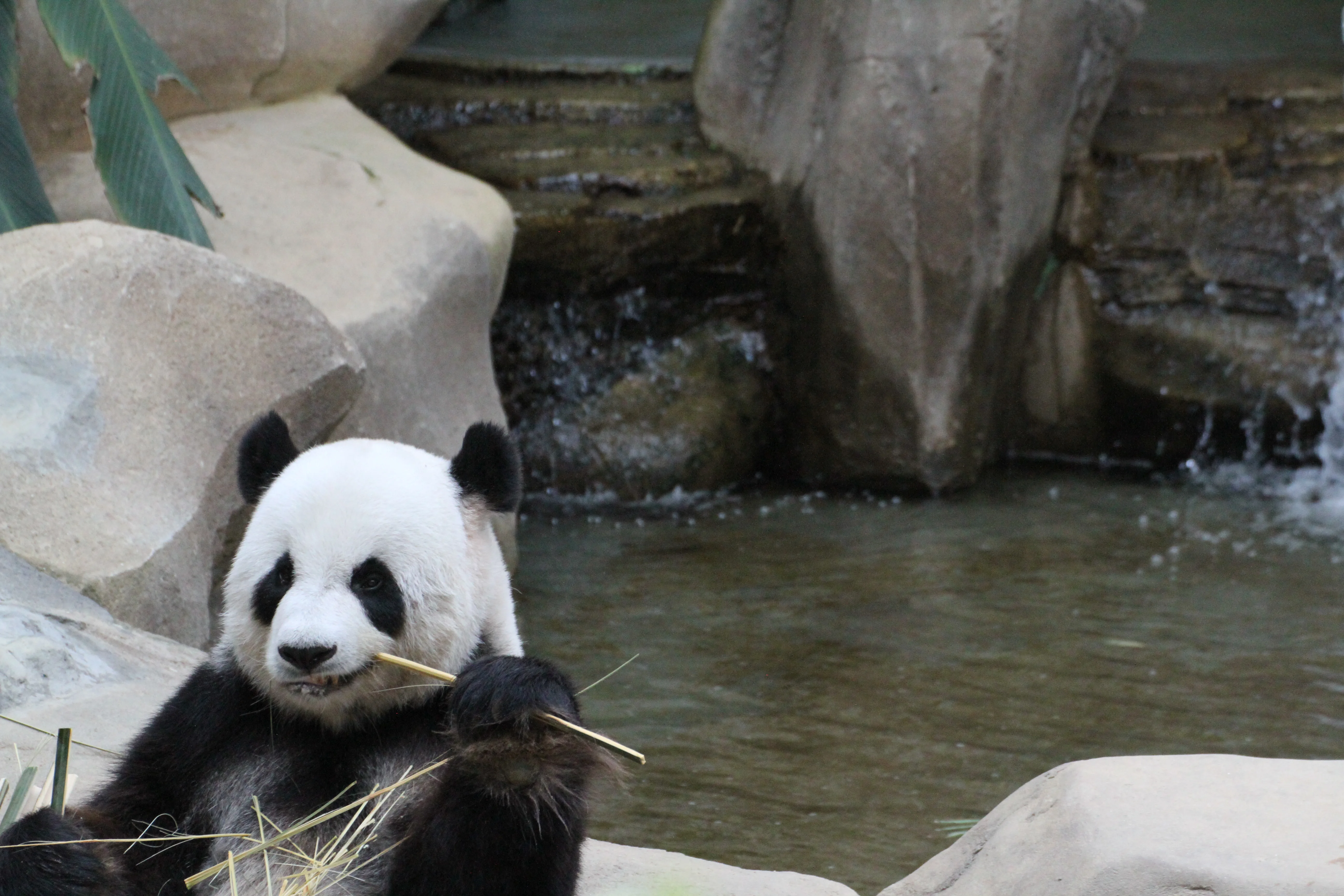 Zoo Negara Malaysia