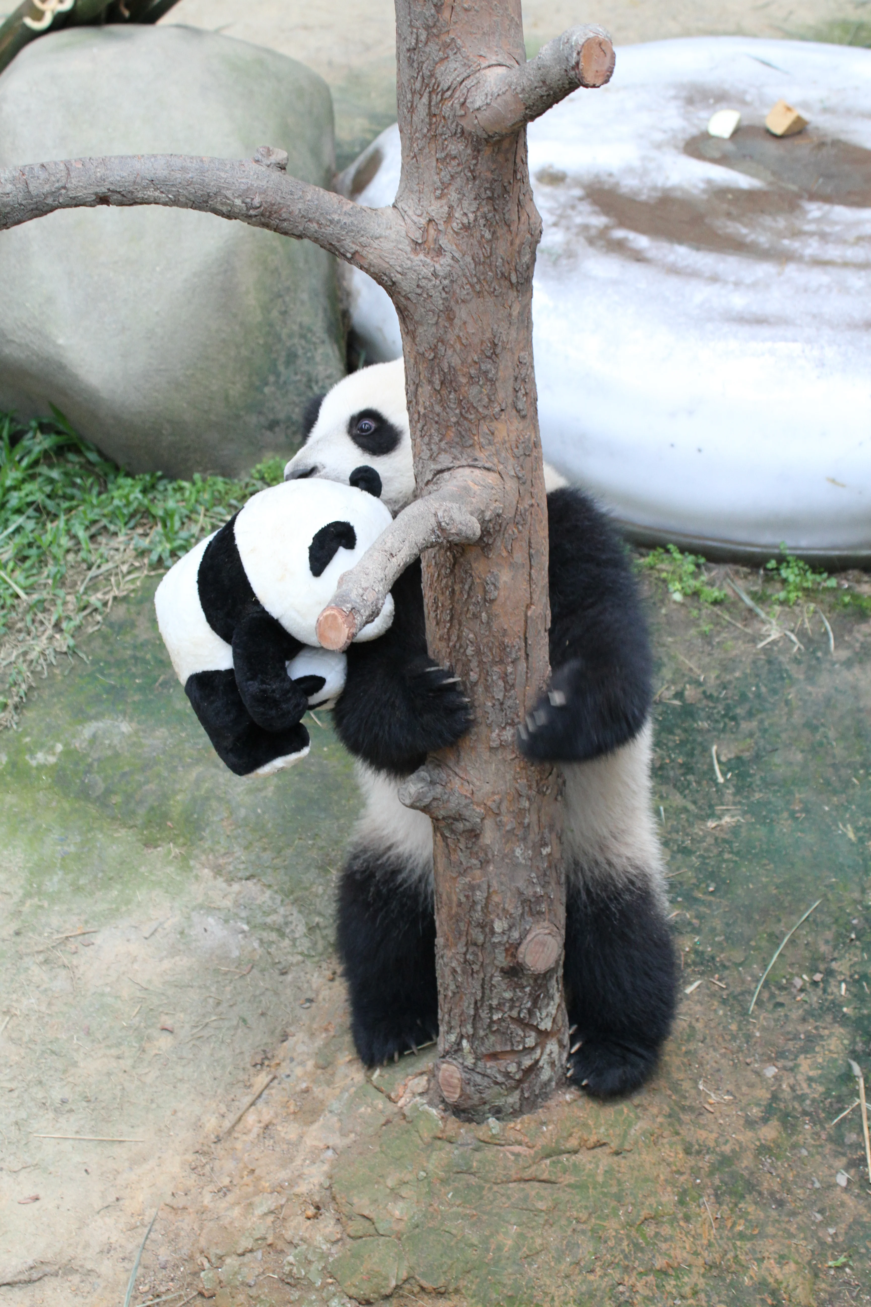 Zoo Negara Malaysia