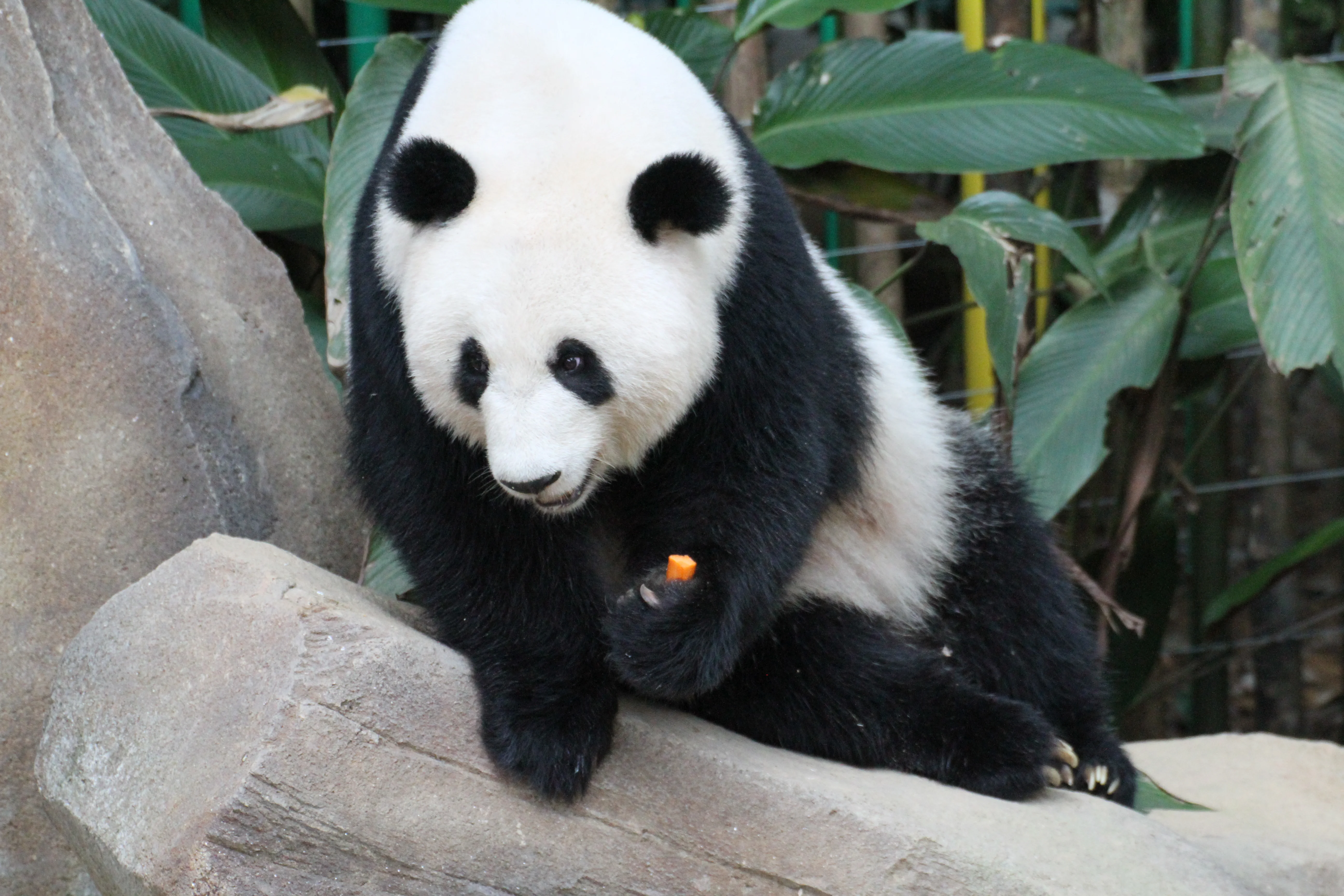 Zoo Negara Malaysia