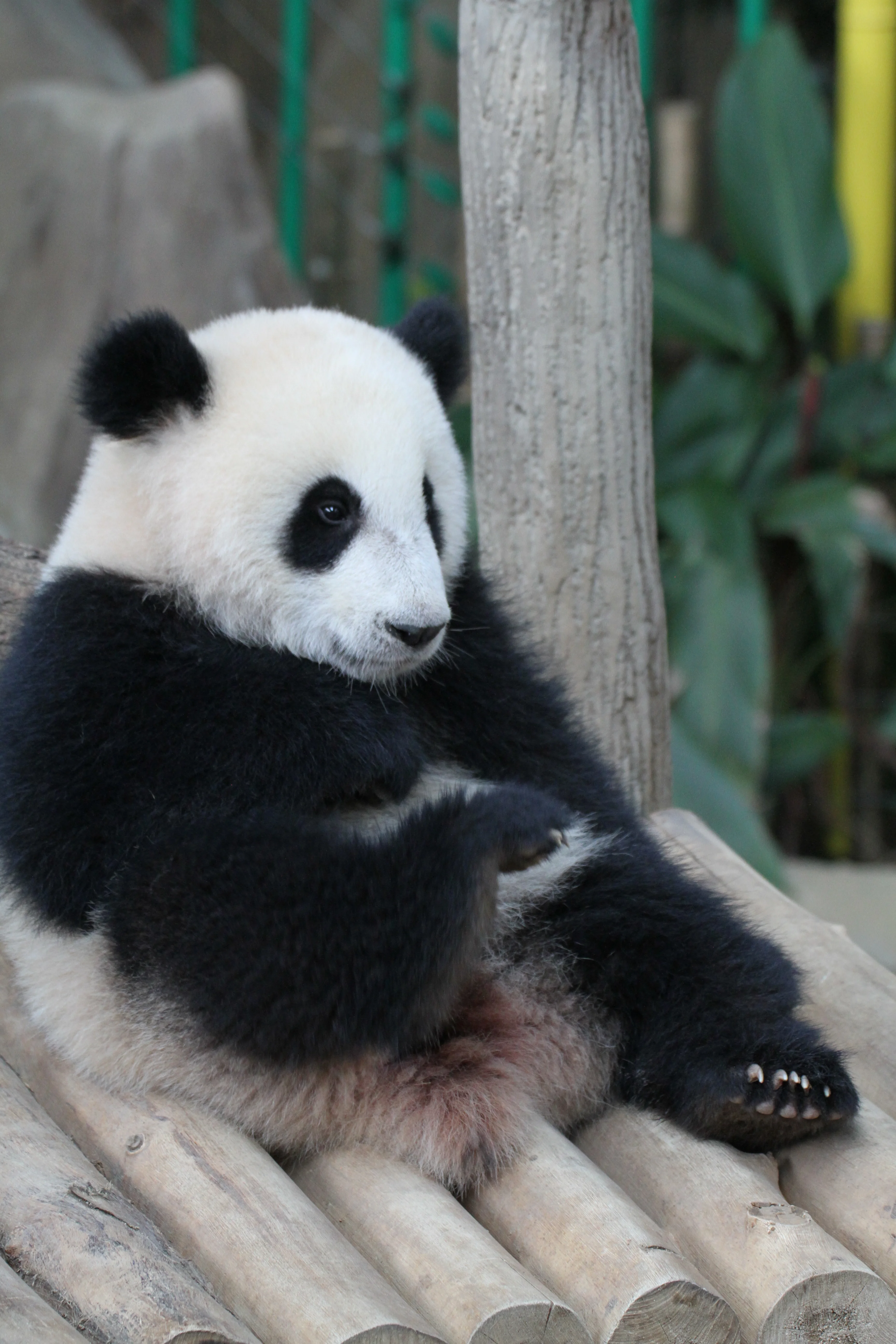 Zoo Negara Malaysia
