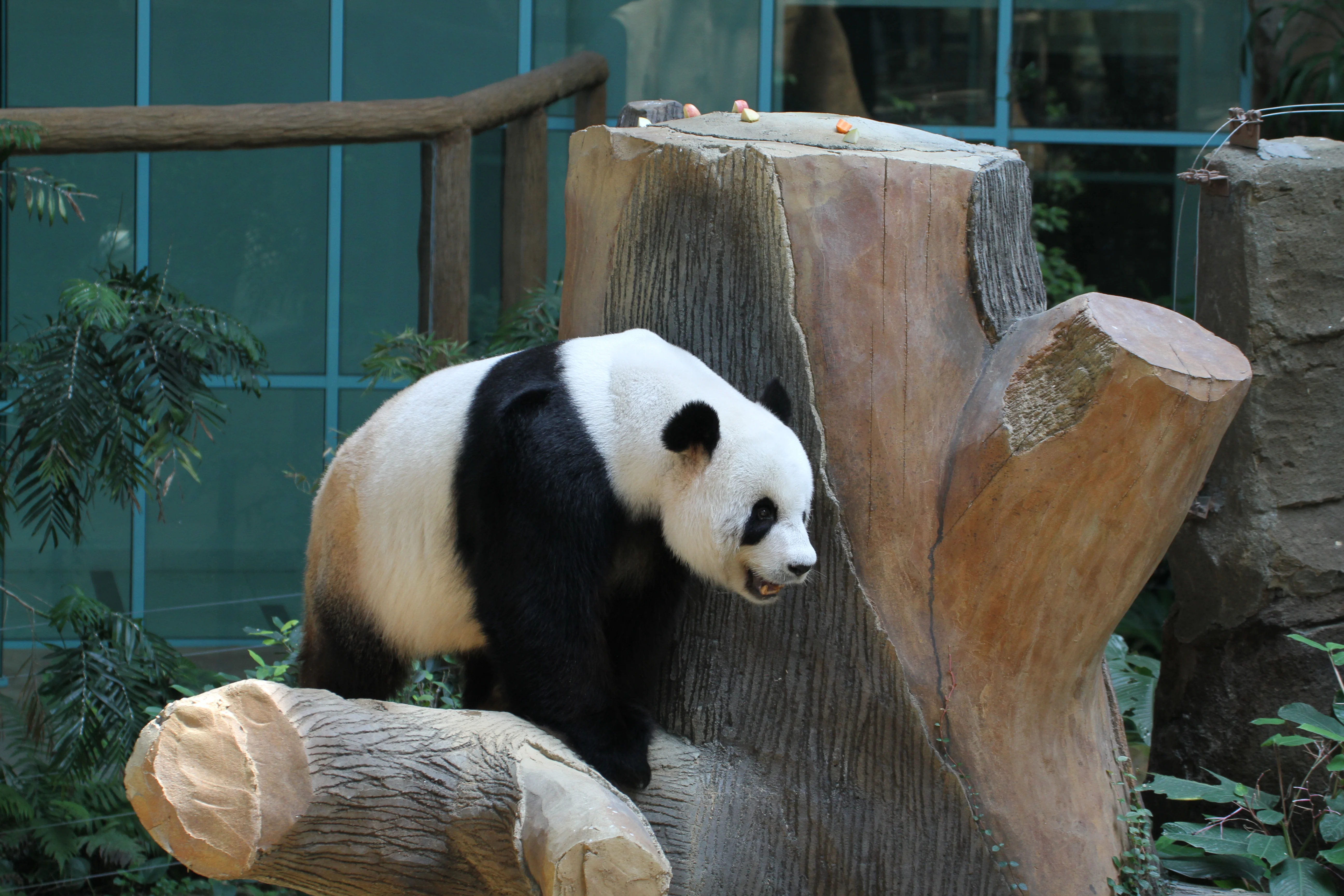 Zoo Negara Malaysia