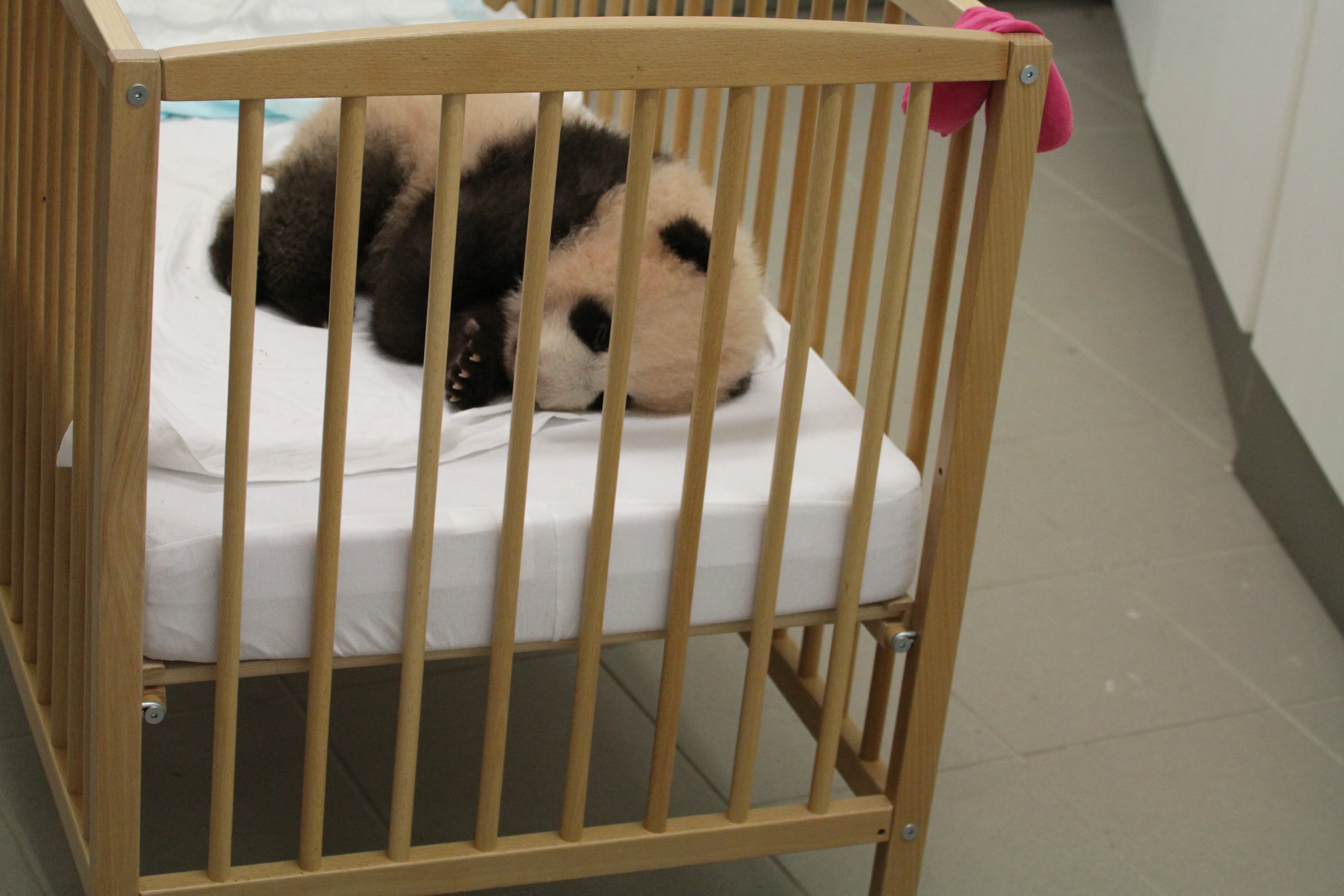 Pairi Daiza