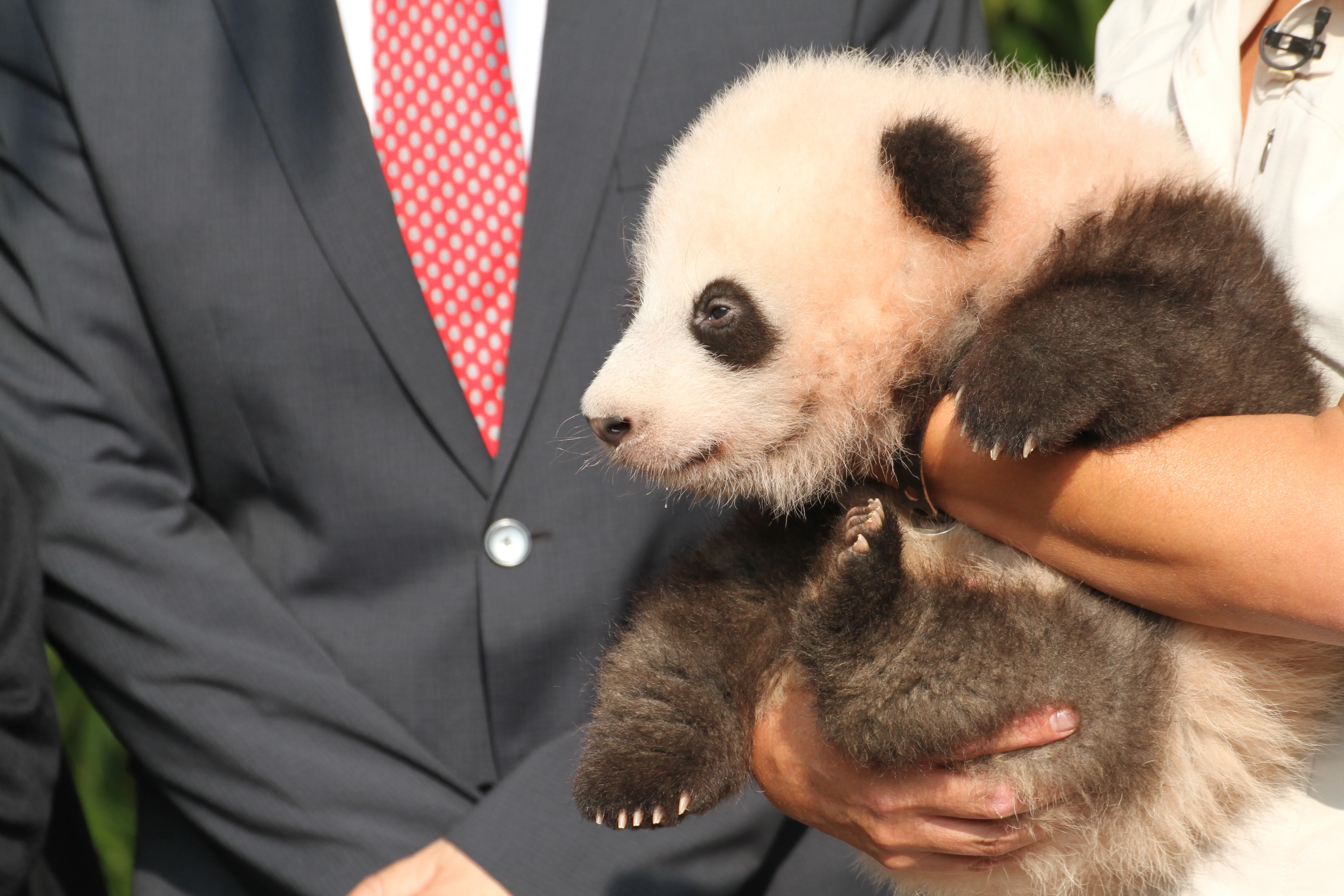 Pairi Daiza