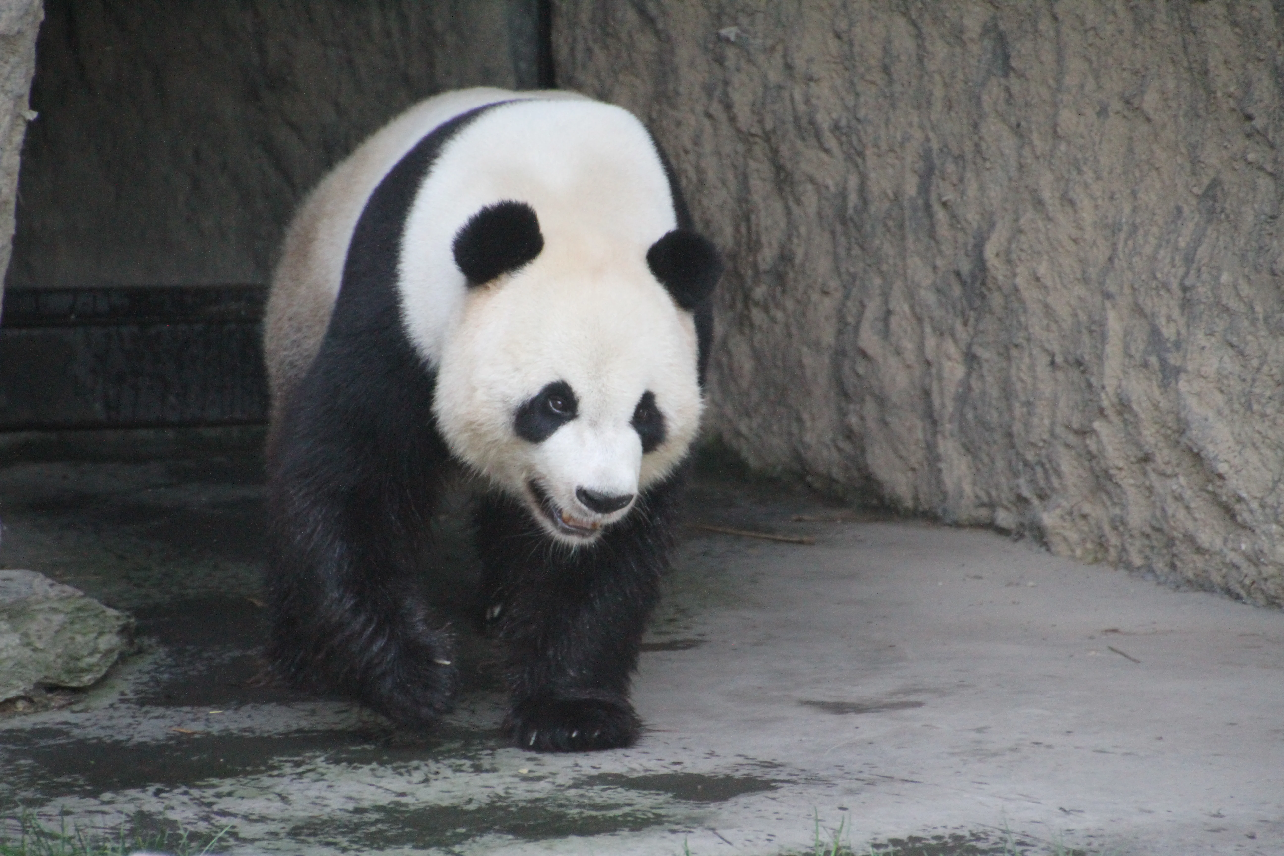 Pairi Daiza