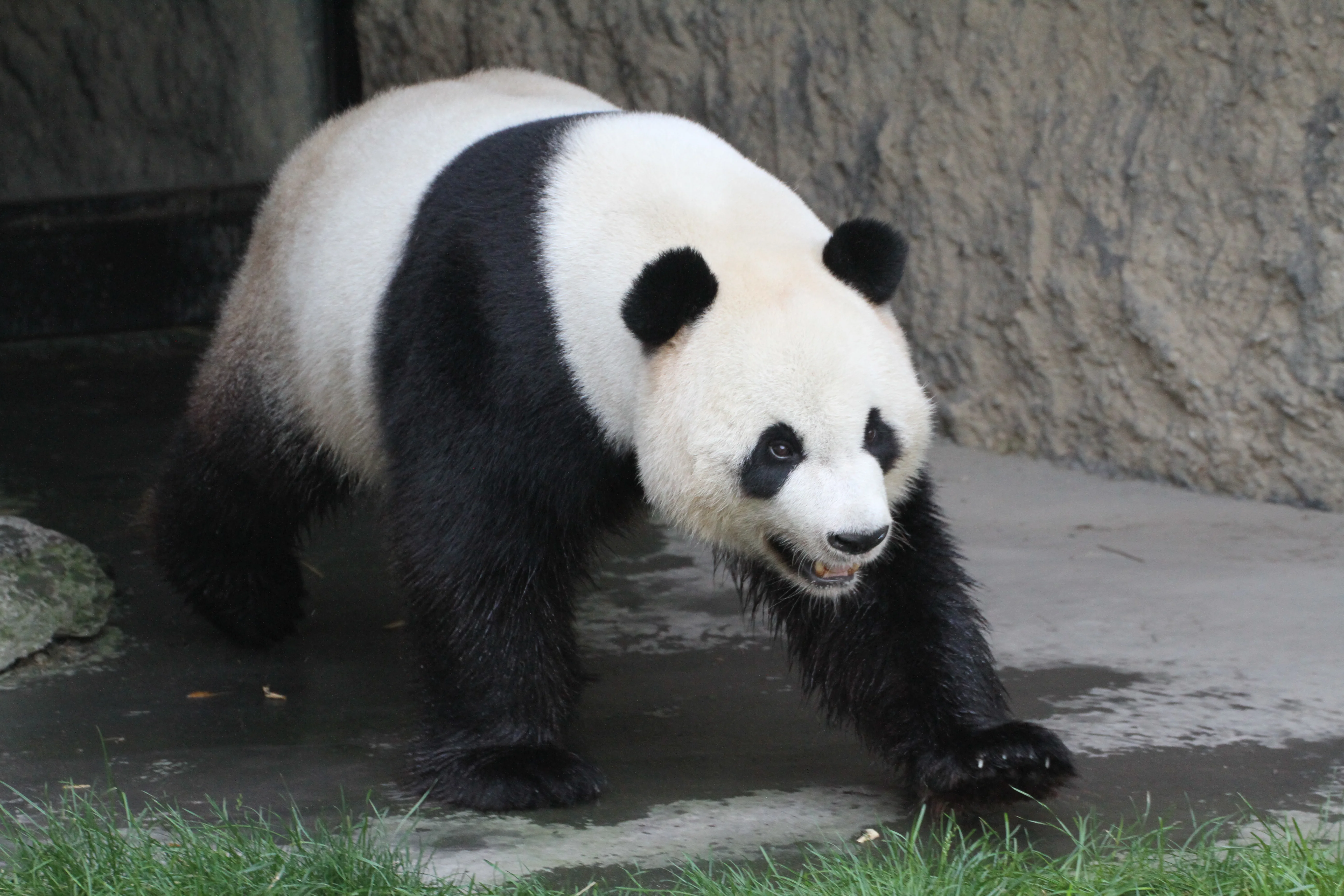 Pairi Daiza