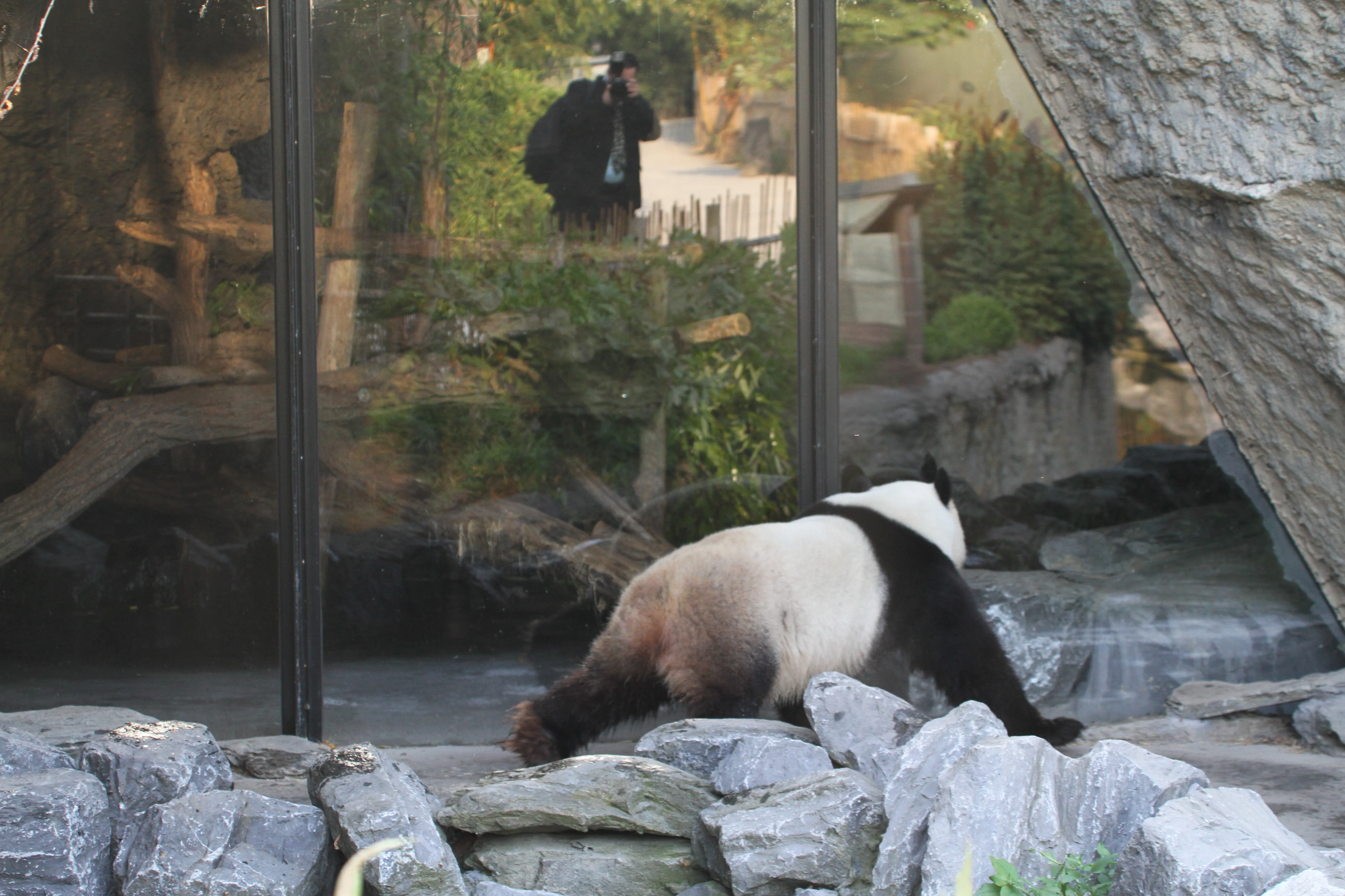 Pairi Daiza