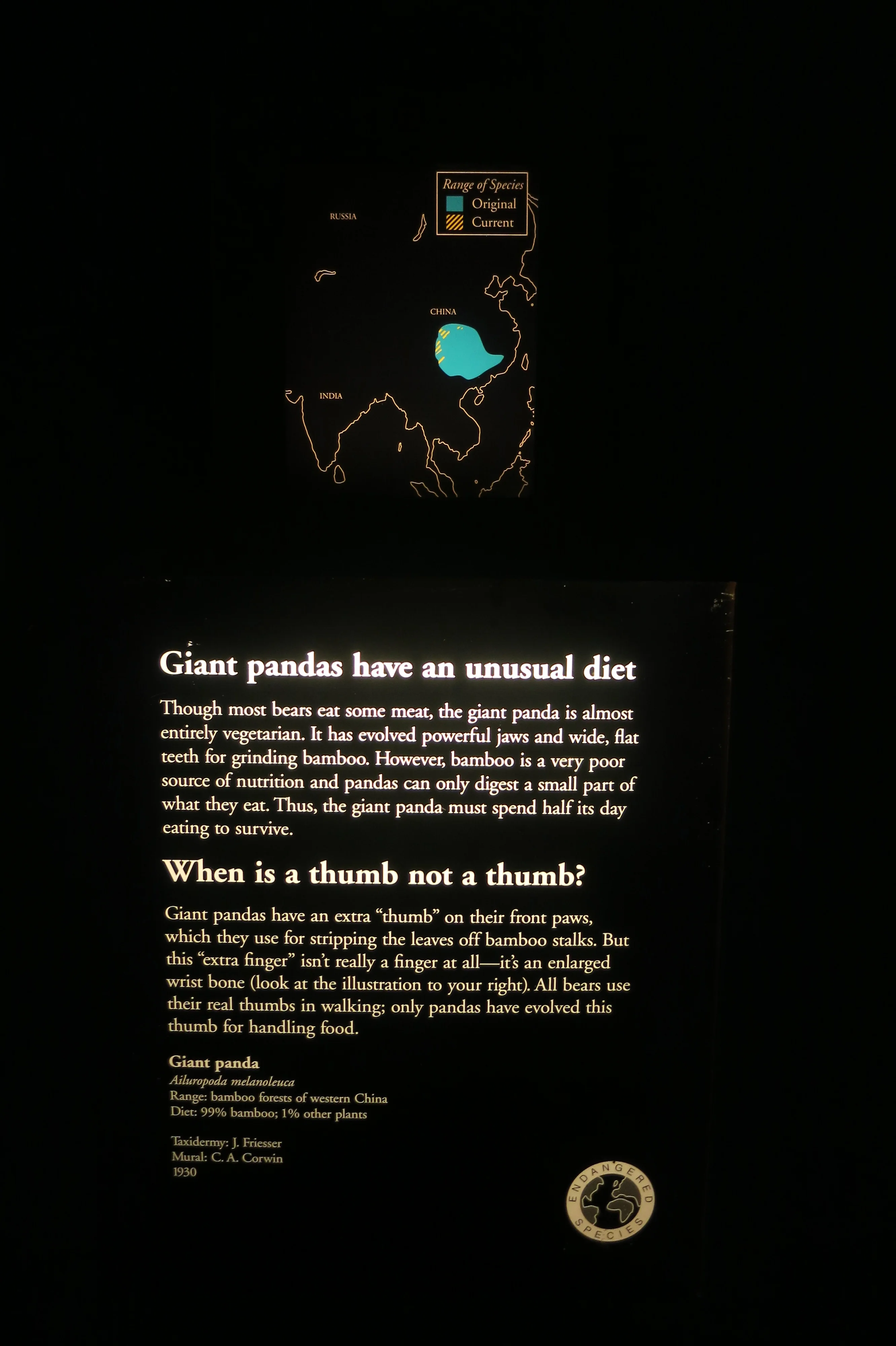 The Field Museum