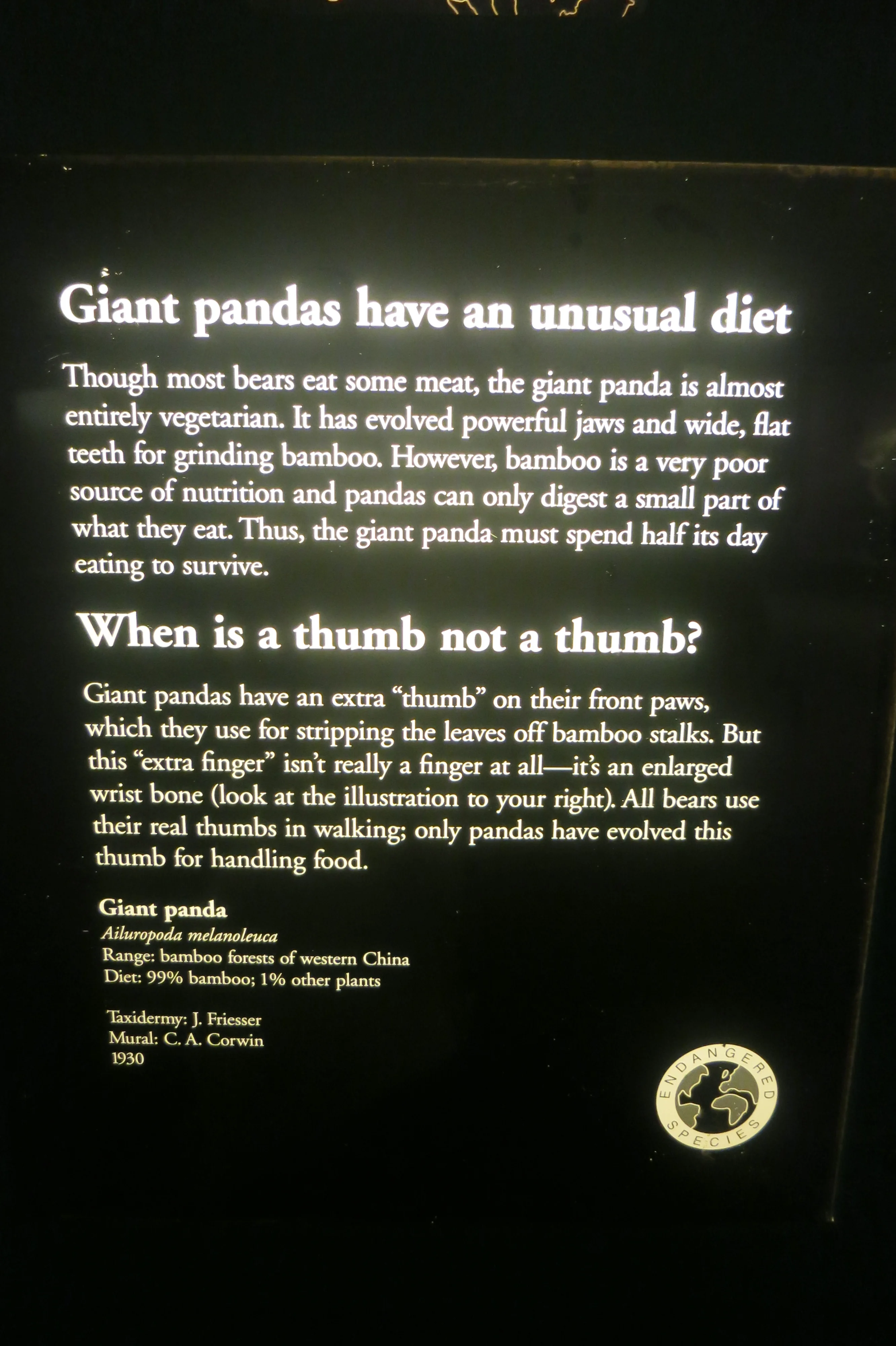 The Field Museum