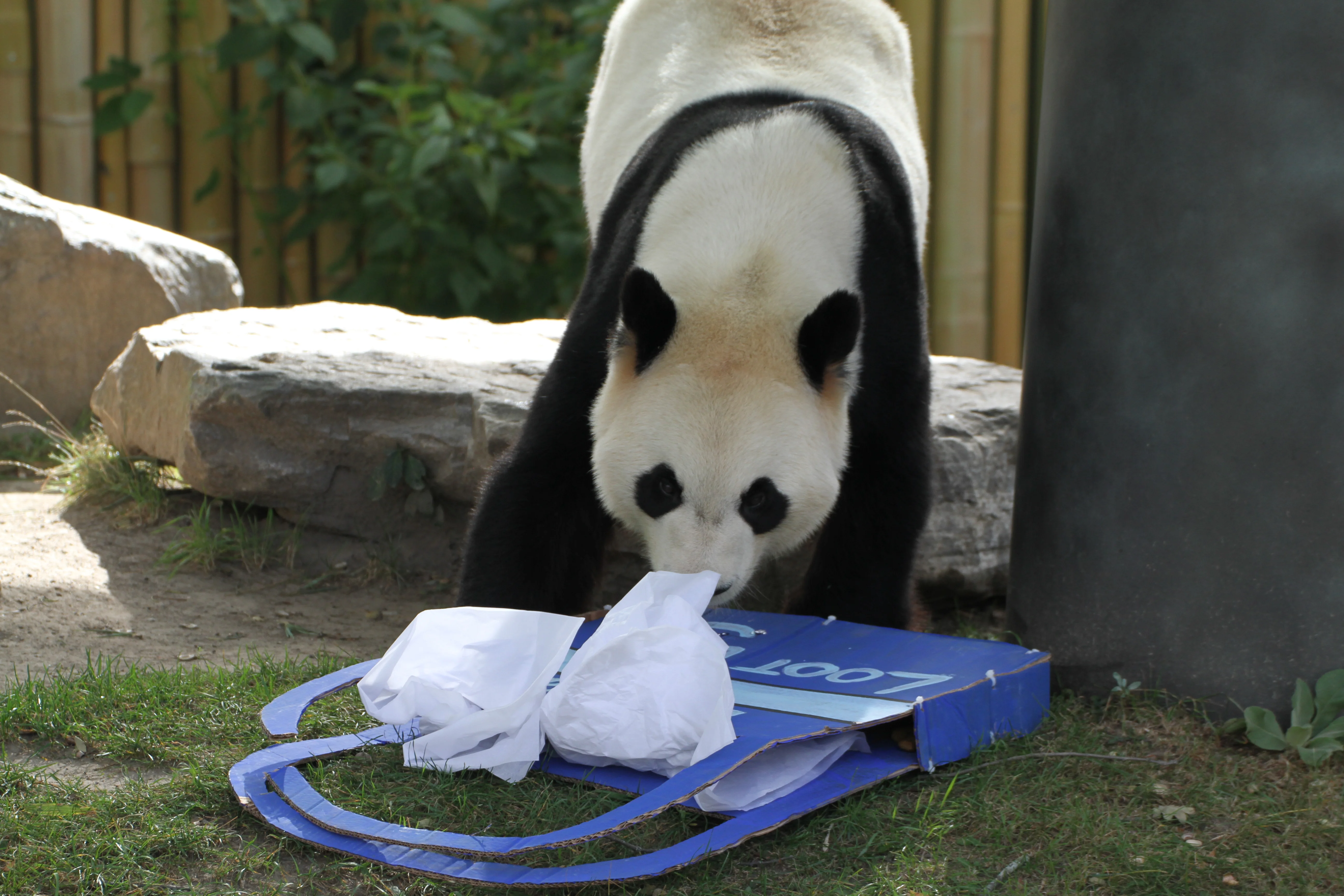 Toronto Zoo
