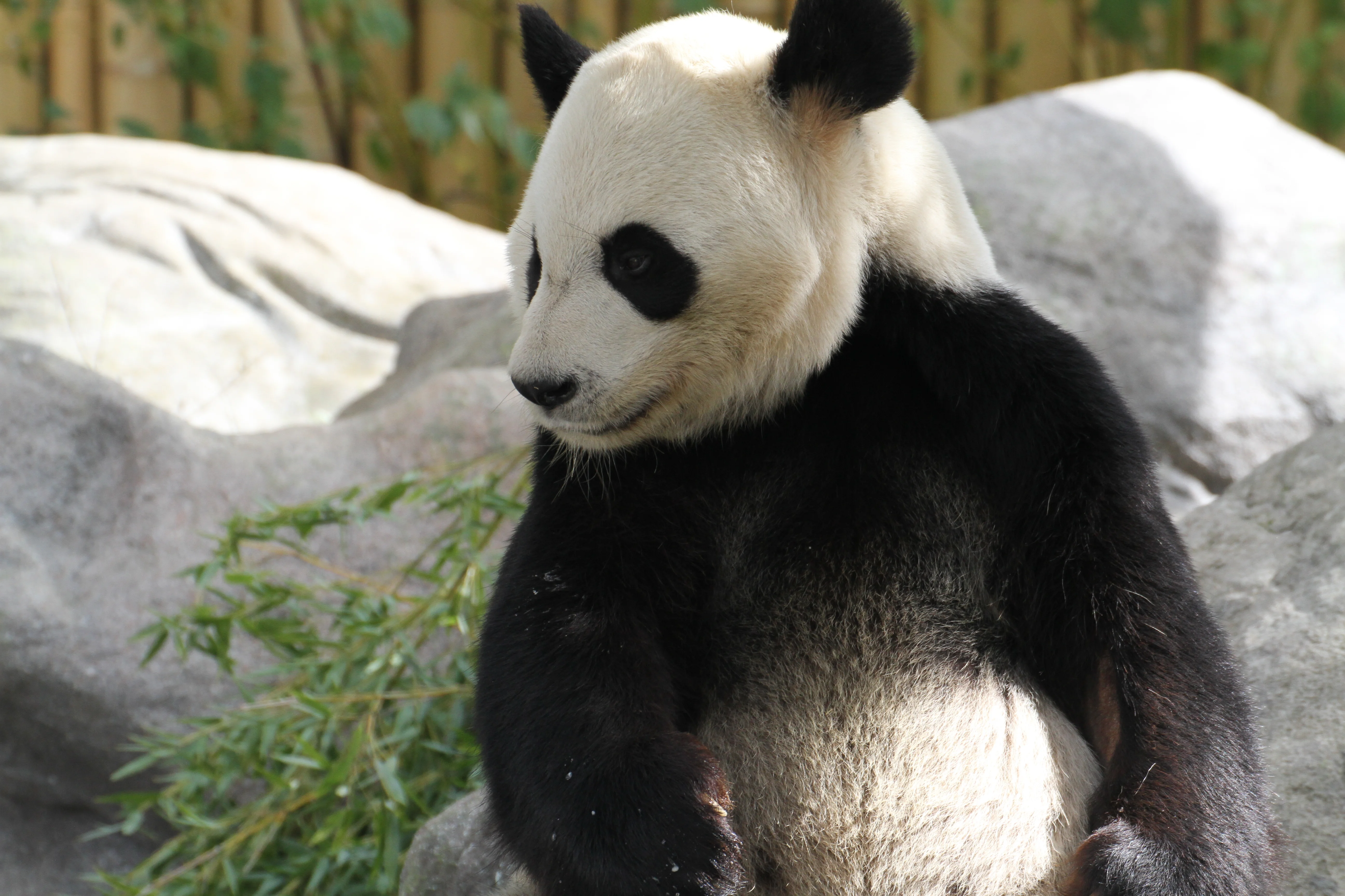 Toronto Zoo
