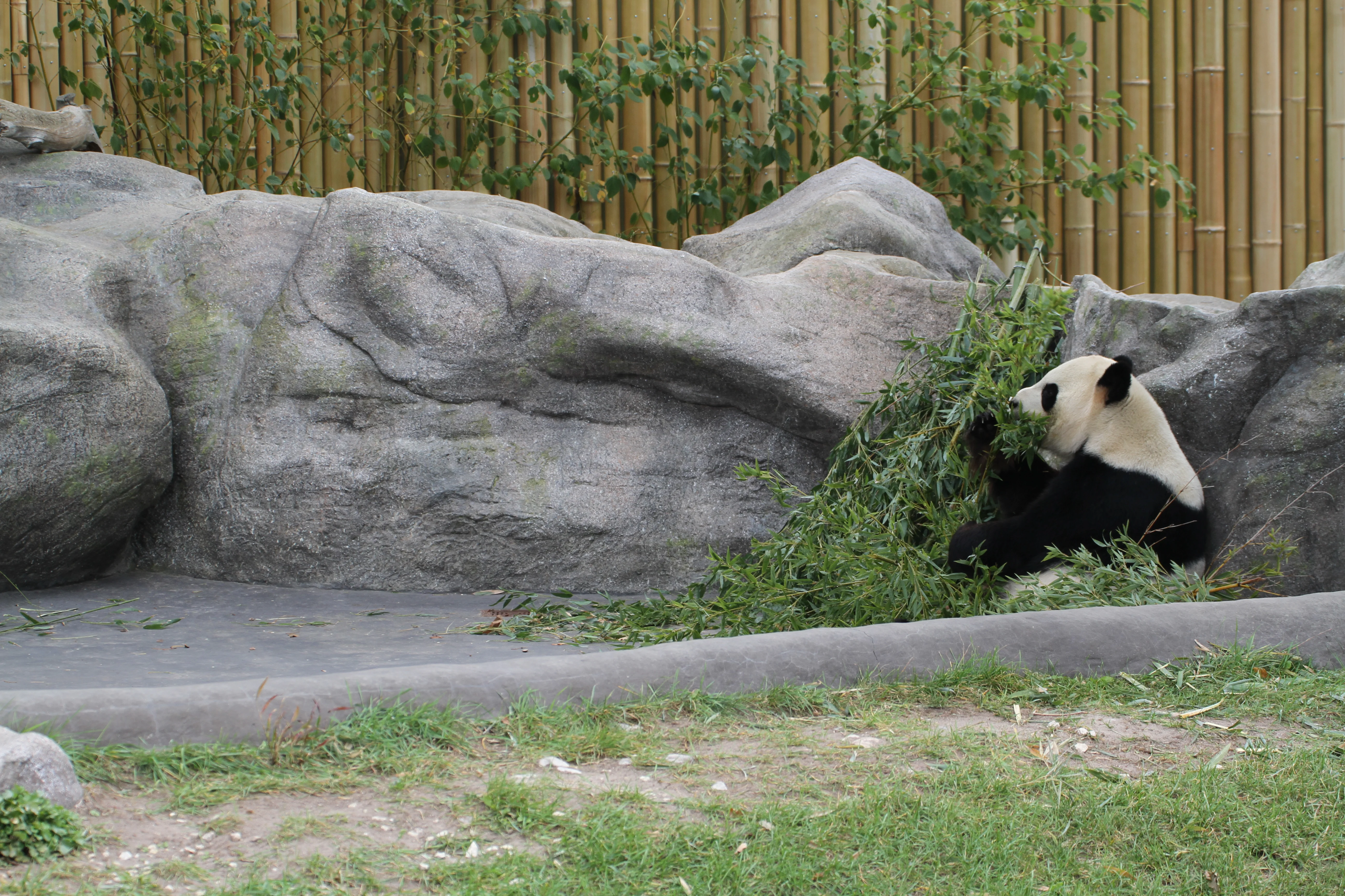 Toronto Zoo