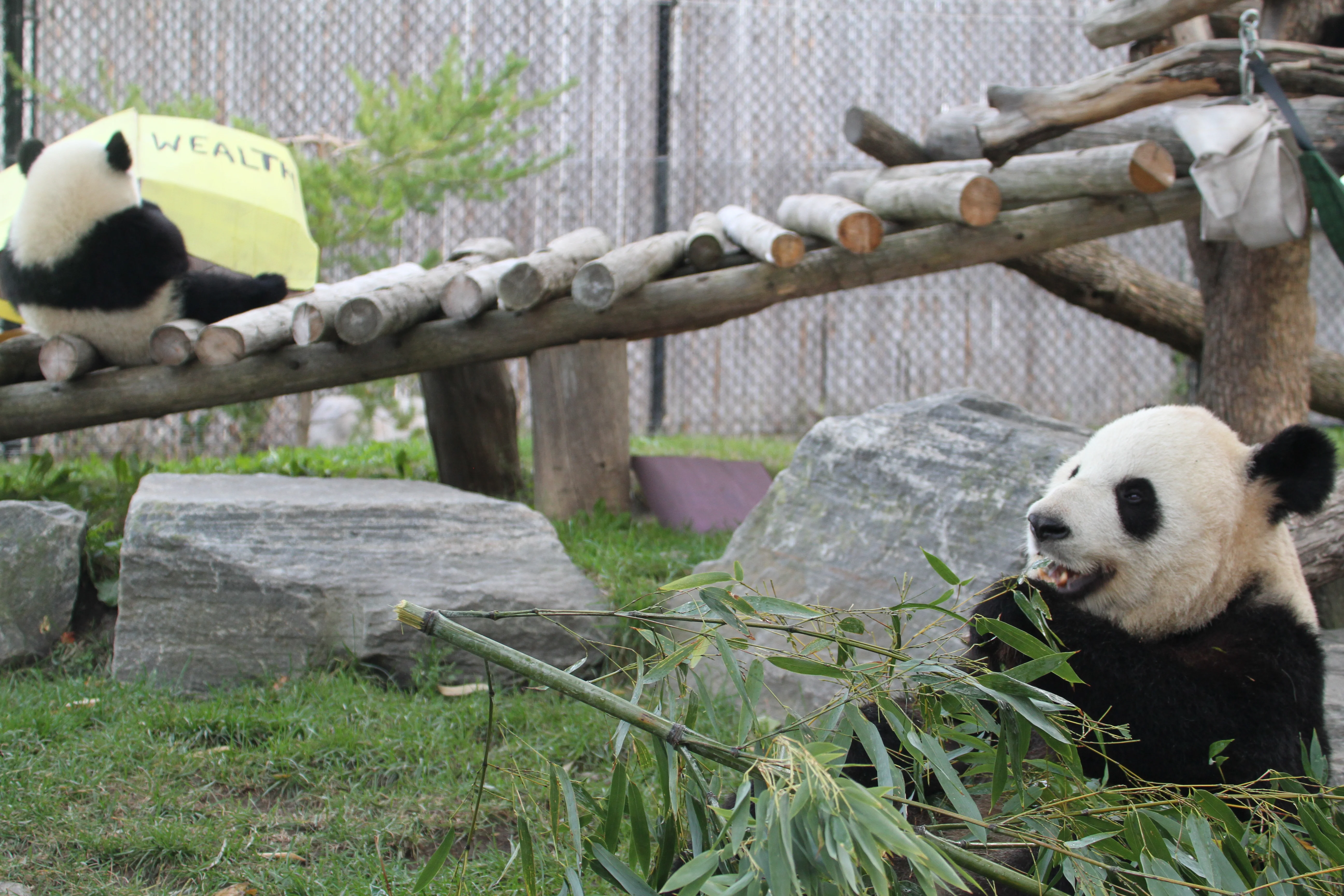 Toronto Zoo