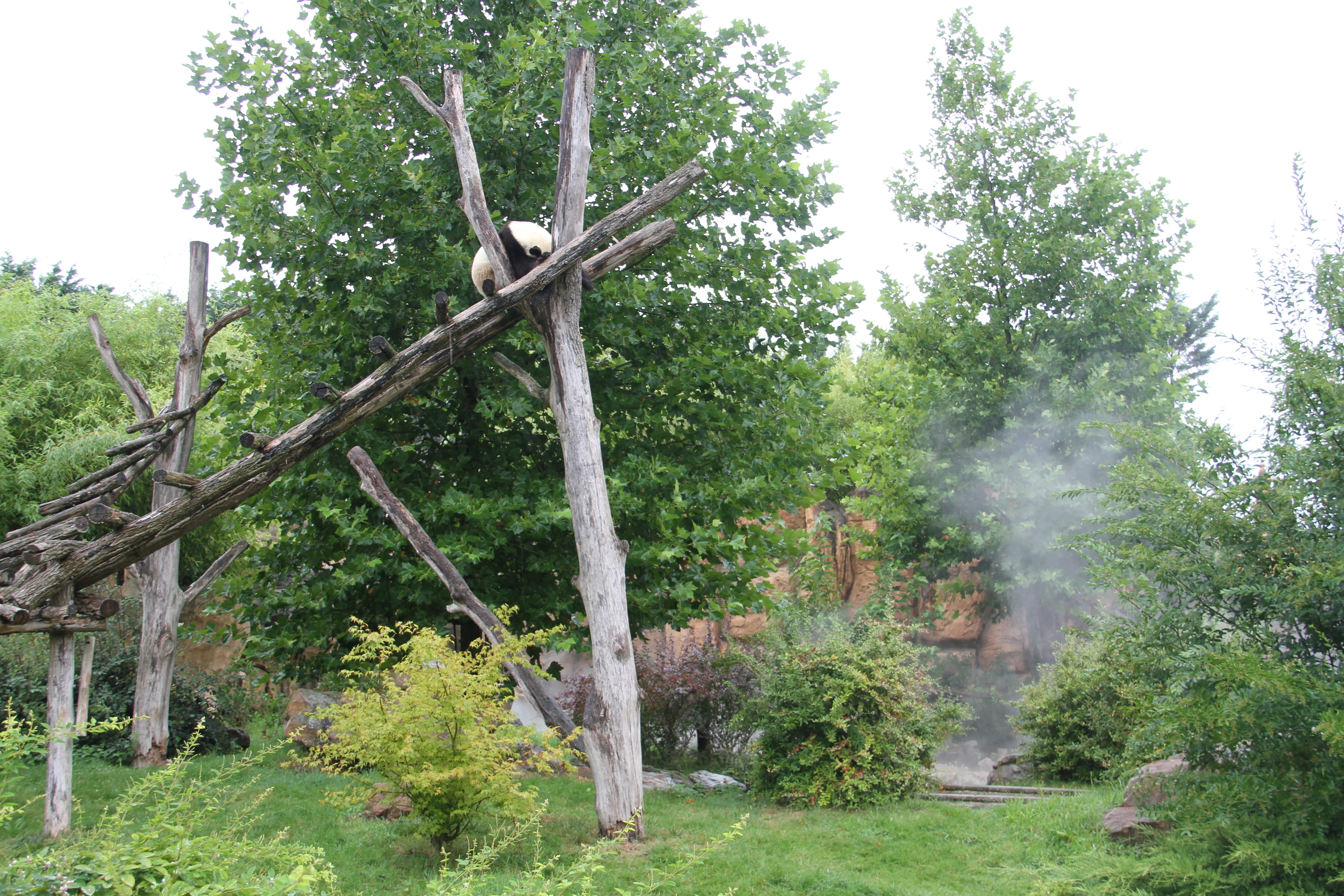 ZooParc de Beauval
