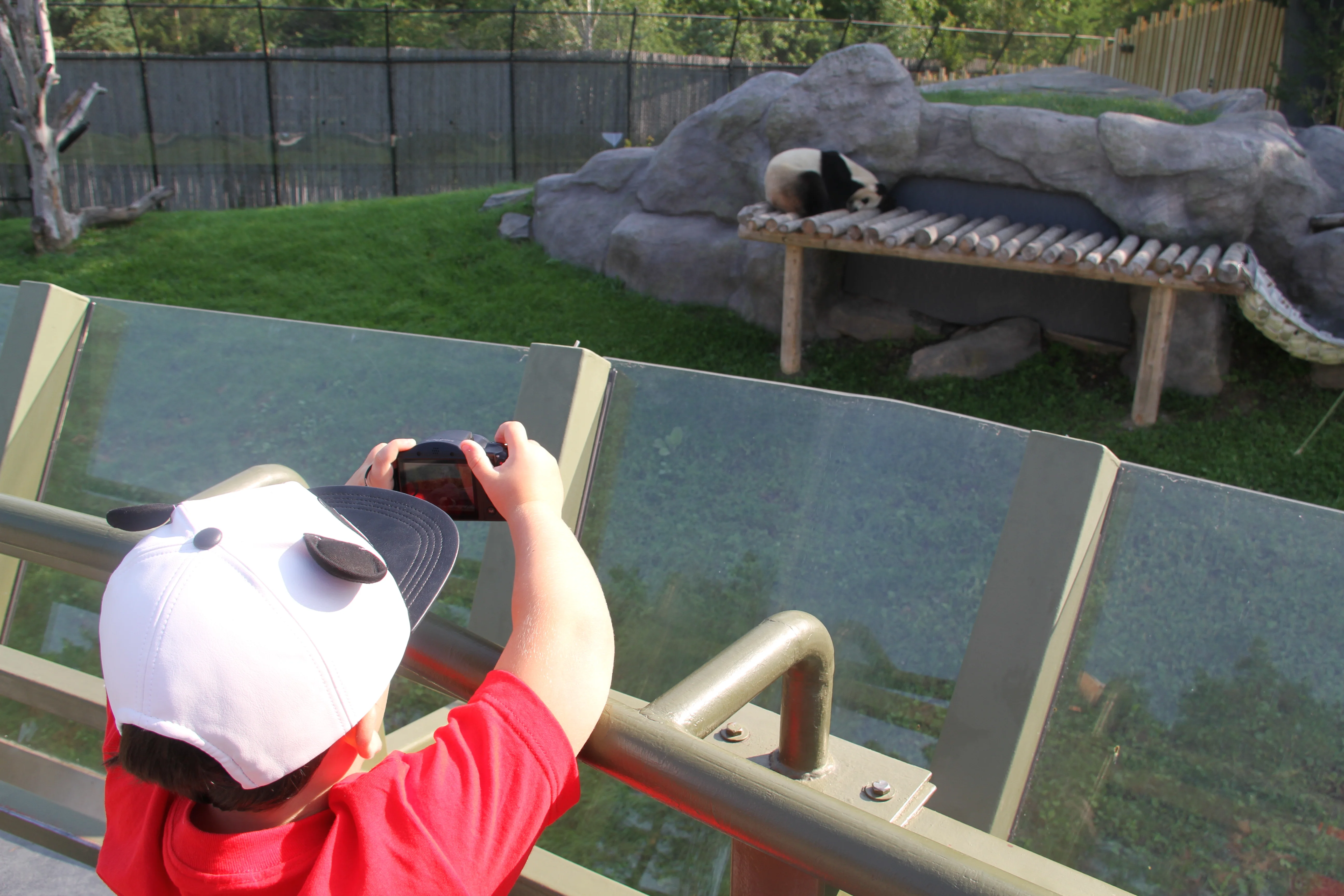 Toronto Zoo
