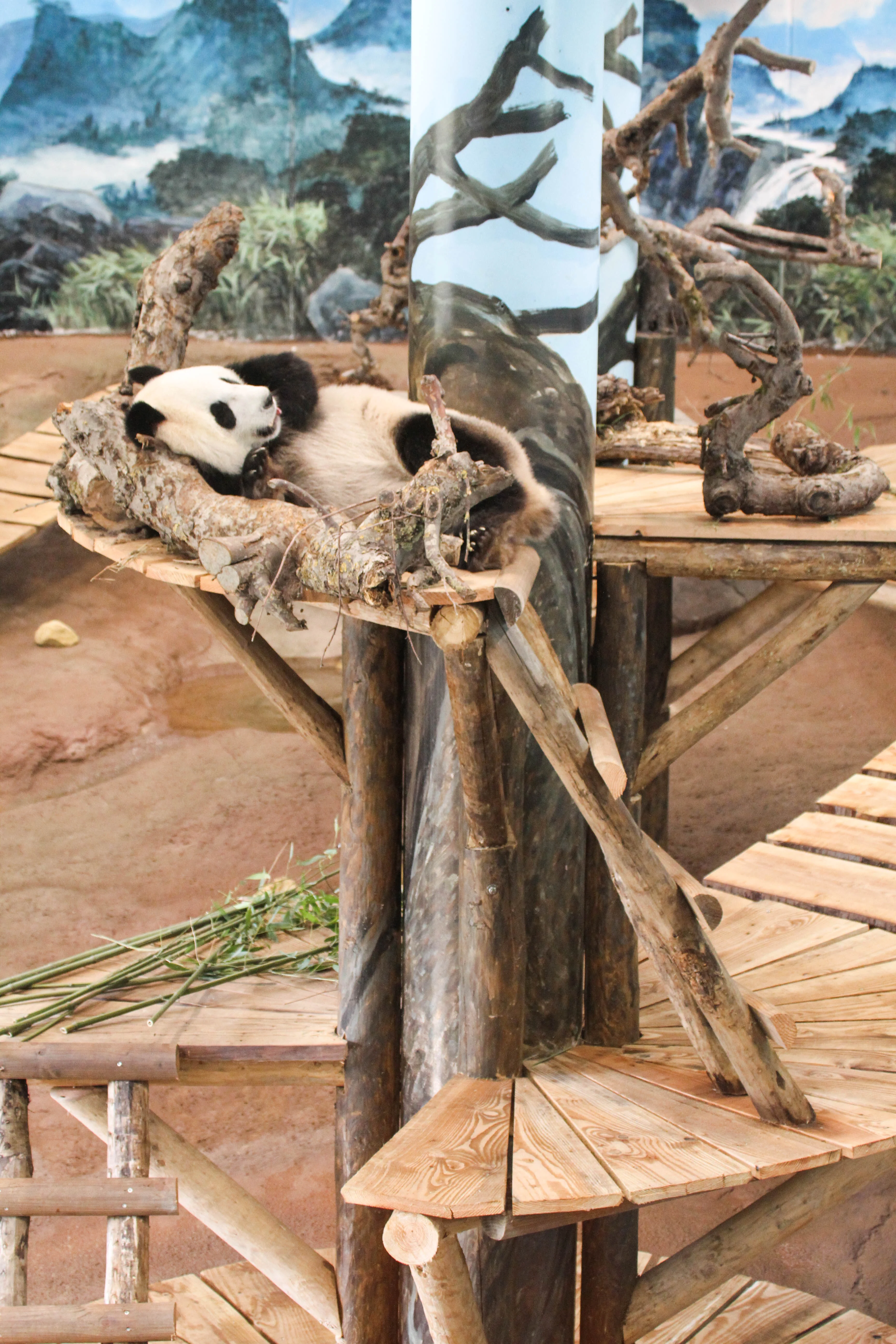 Ouwehands Dierenpark Rhenen
