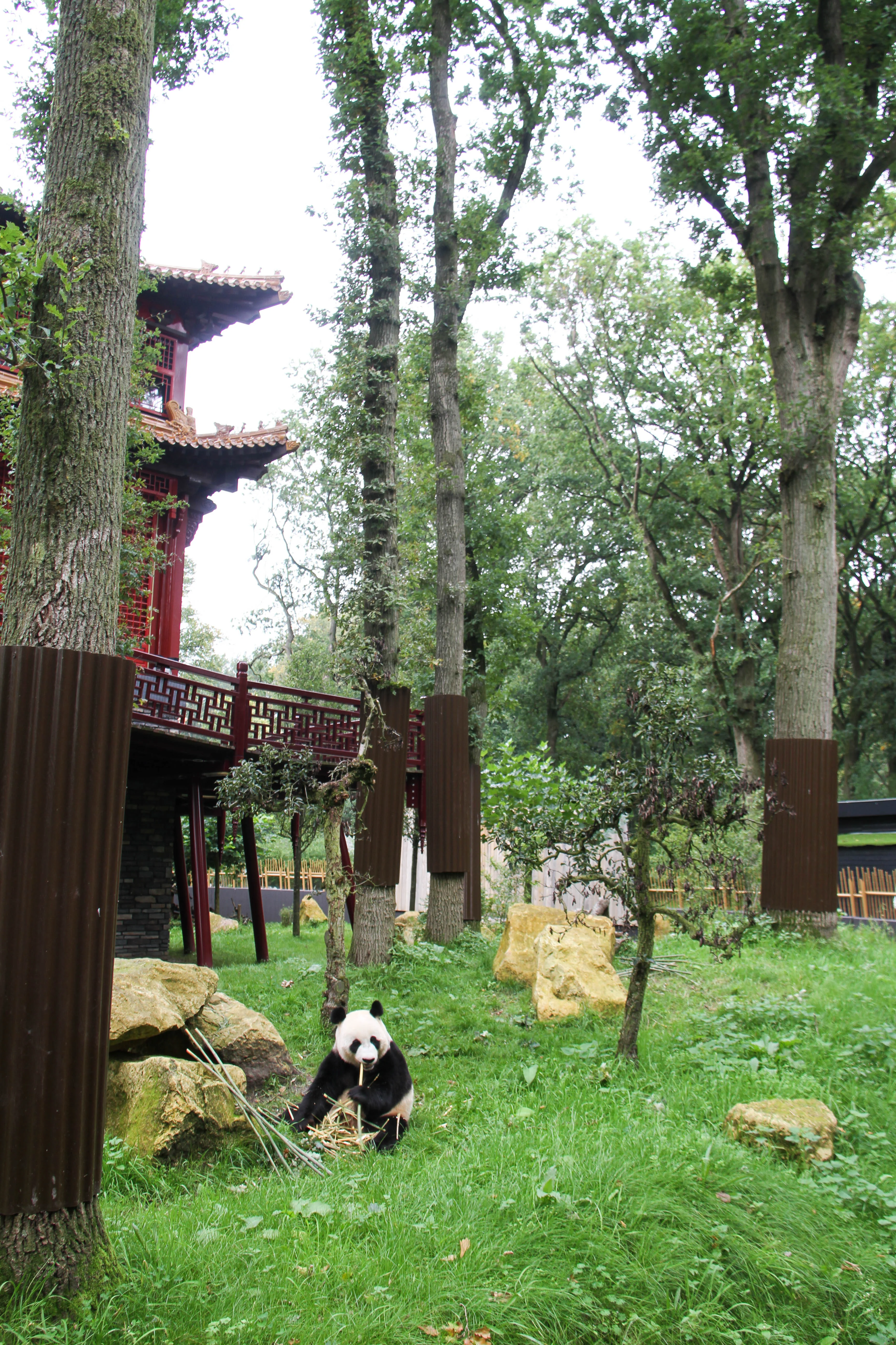 Ouwehands Dierenpark Rhenen