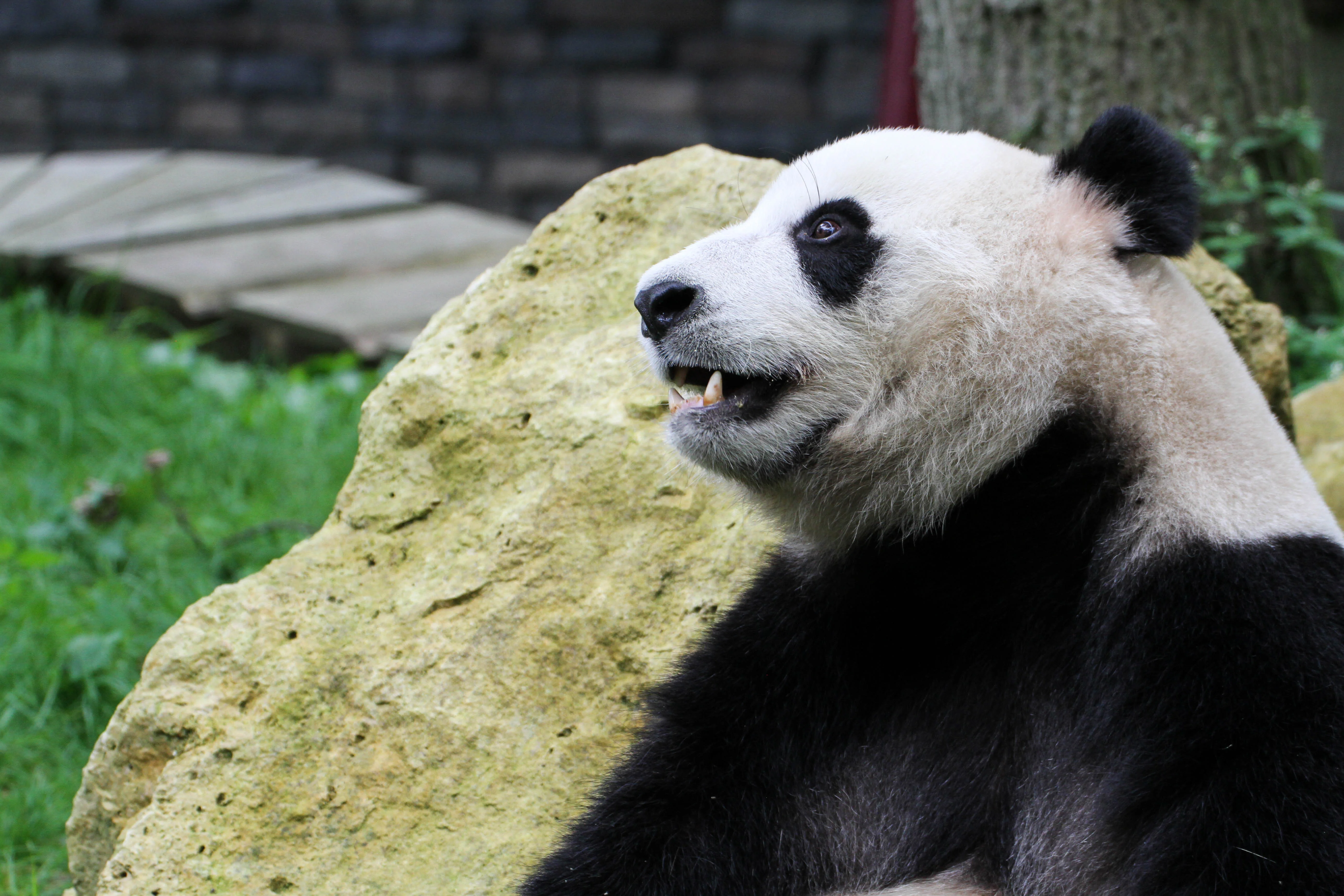 Ouwehands Dierenpark Rhenen