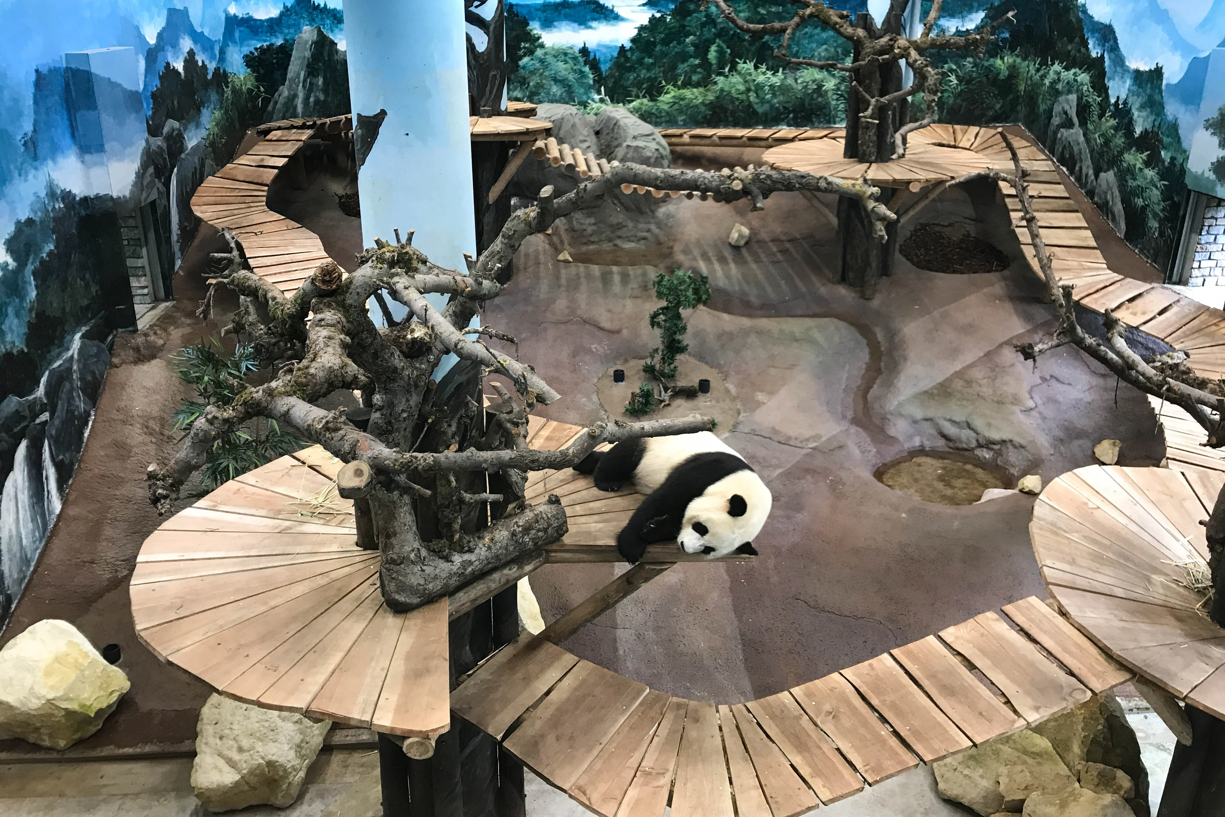 Ouwehands Dierenpark Rhenen