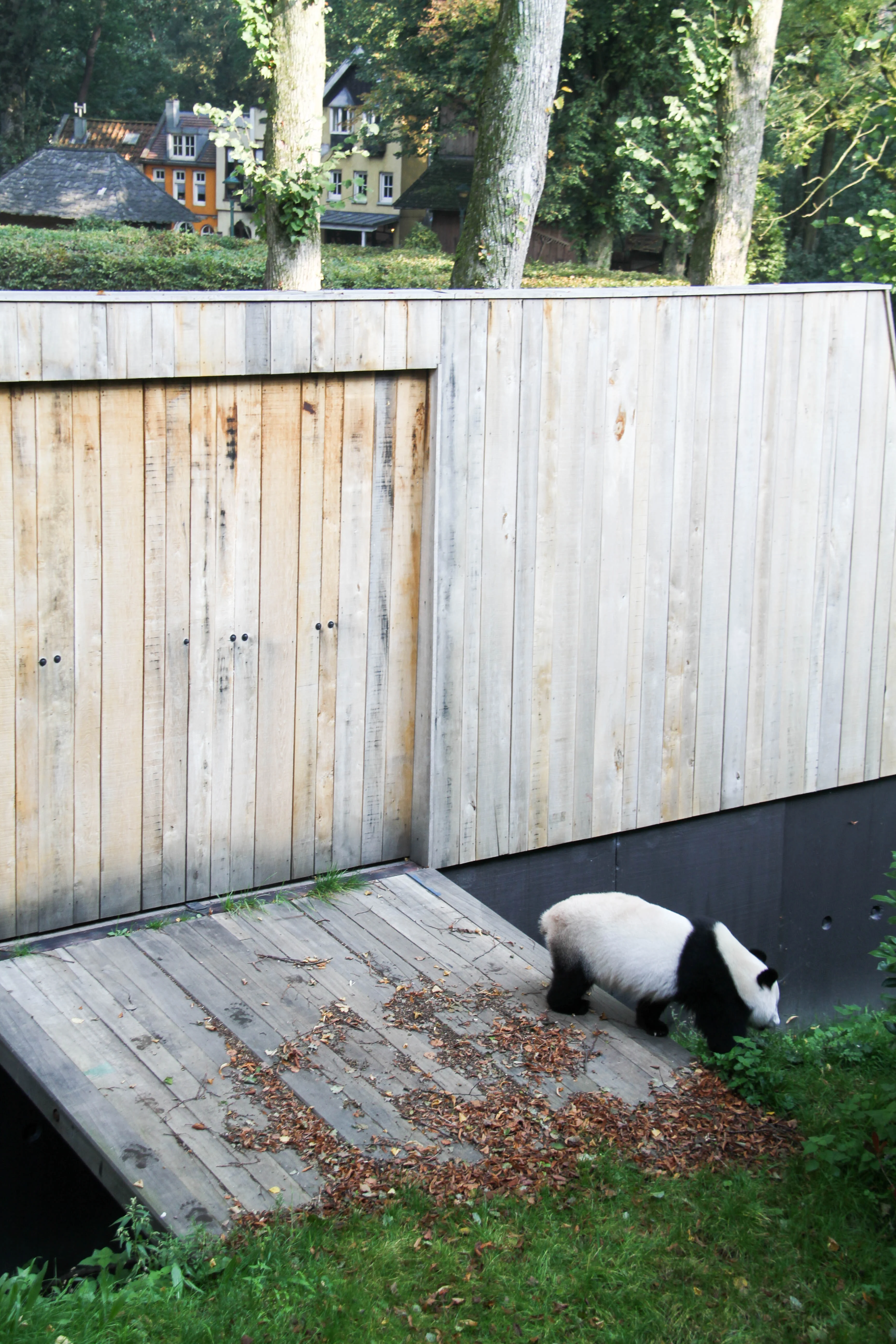 Ouwehands Dierenpark Rhenen