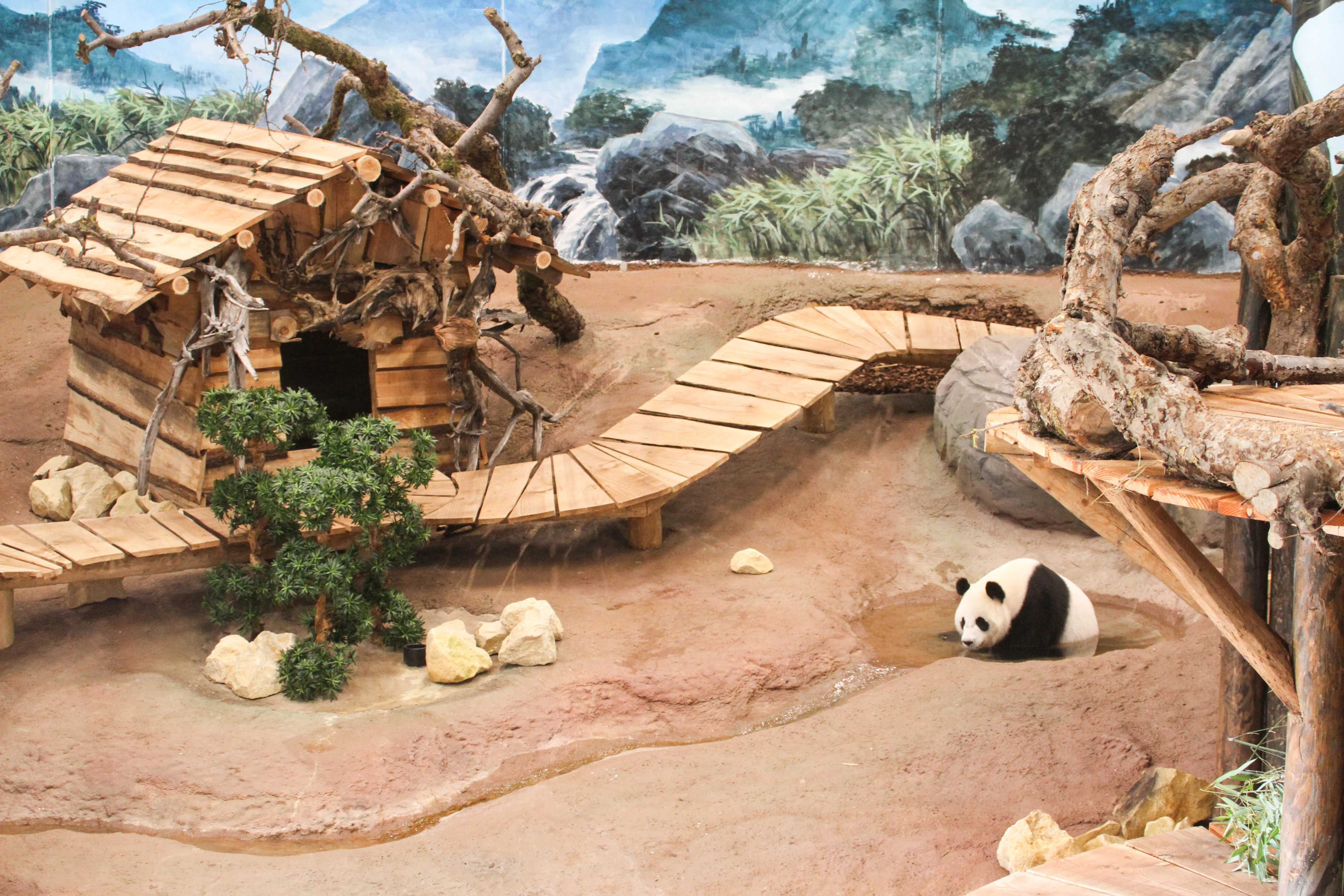 Ouwehands Dierenpark Rhenen