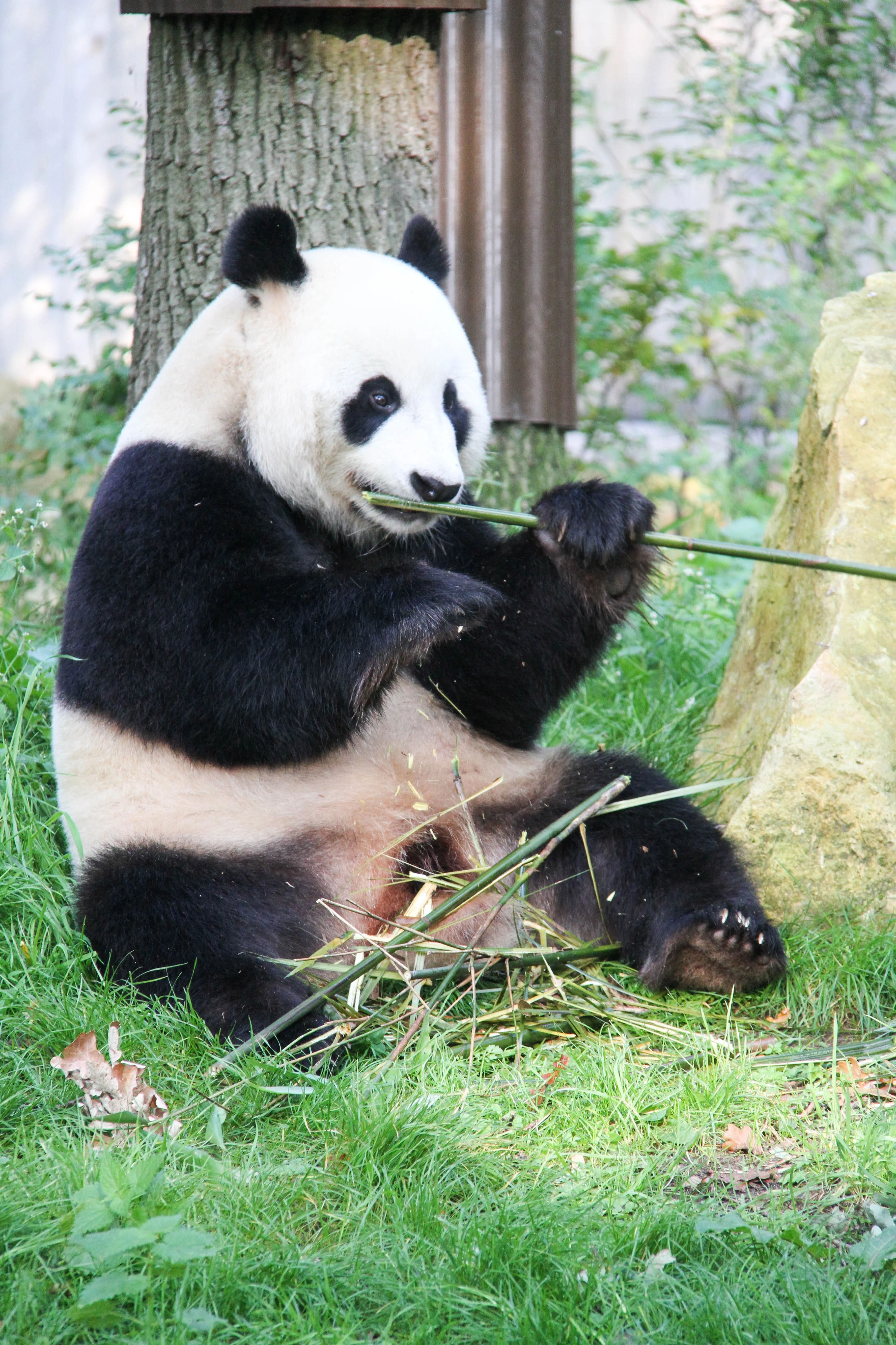 Ouwehands Dierenpark Rhenen