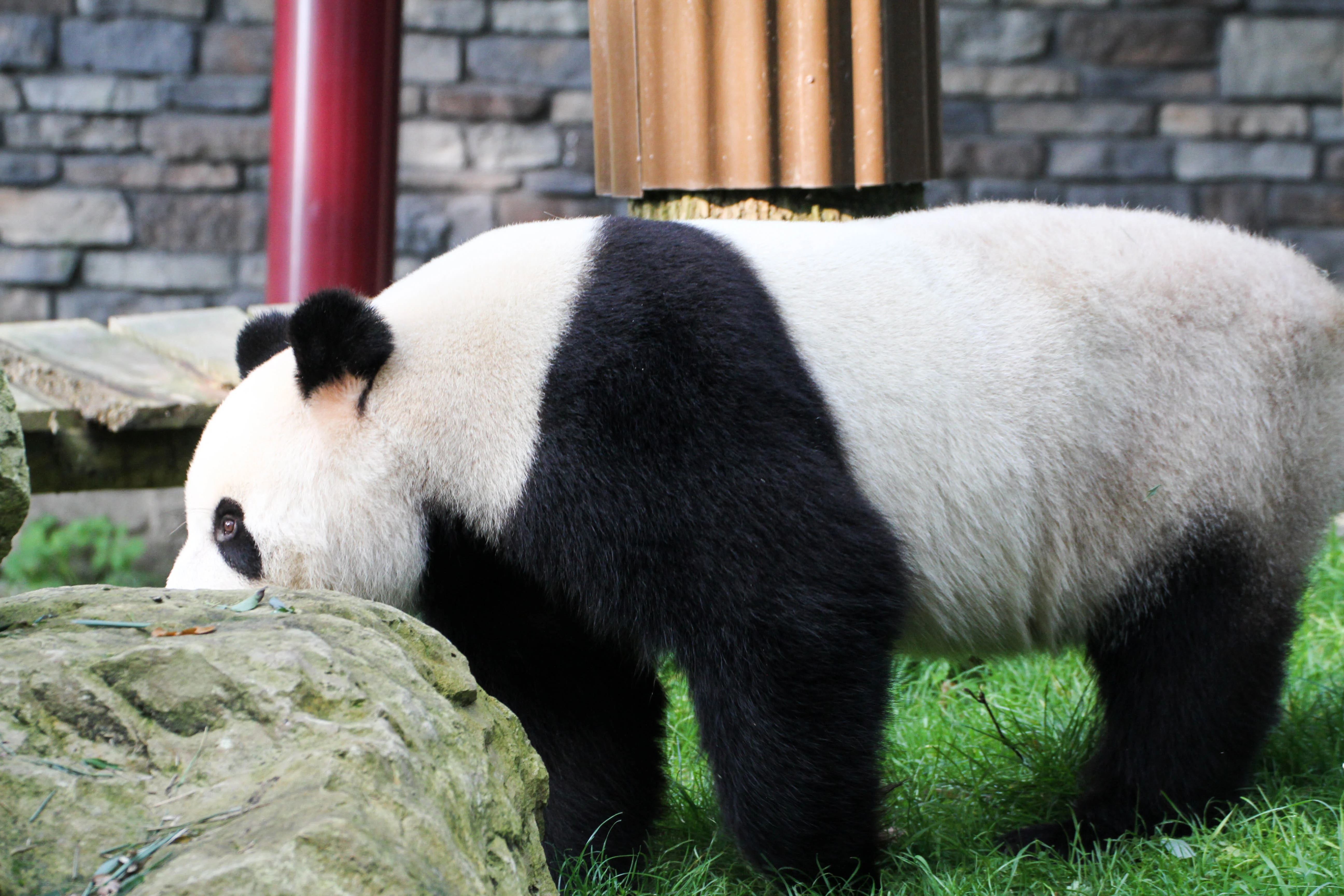 Ouwehands Dierenpark Rhenen