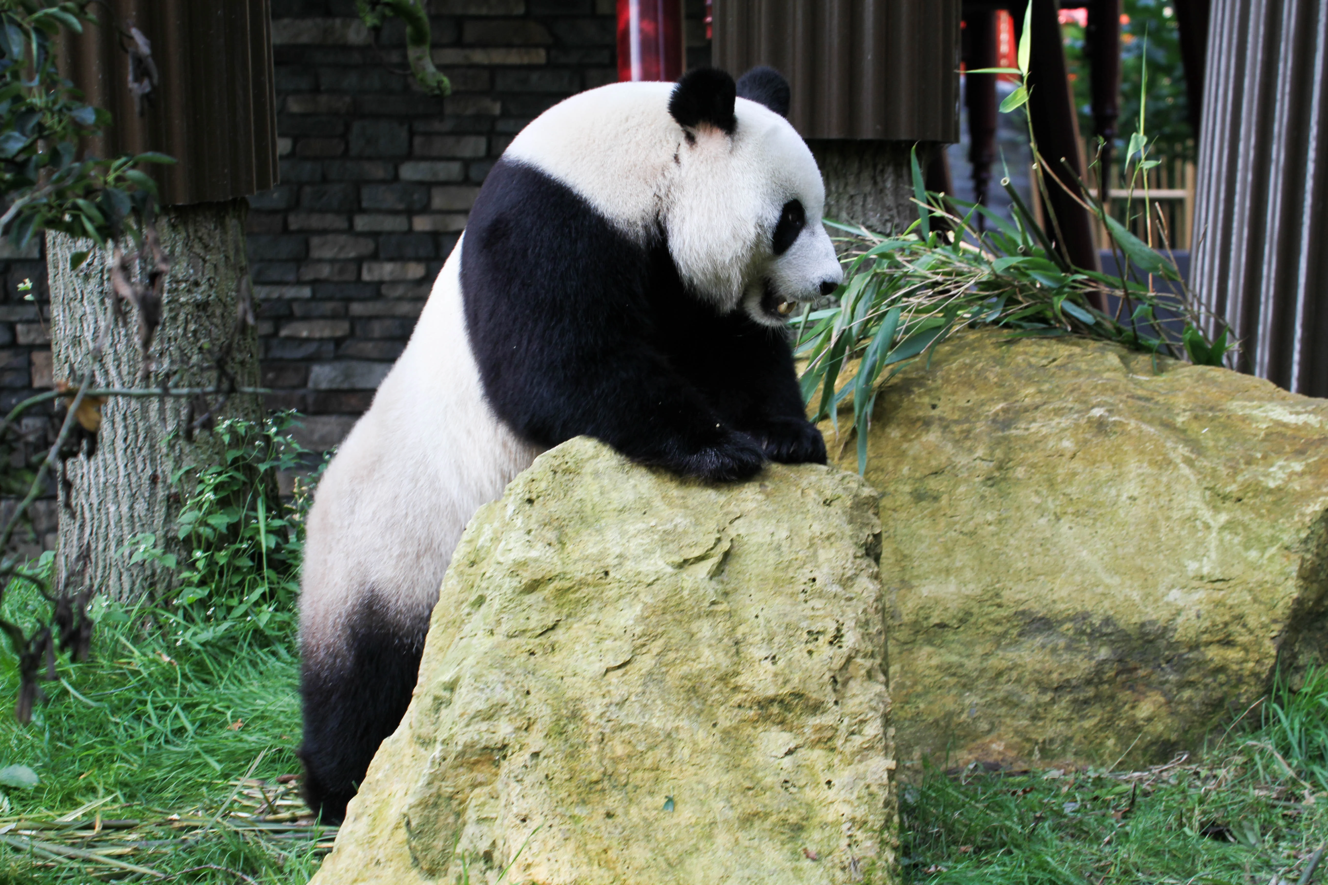Ouwehands Dierenpark Rhenen