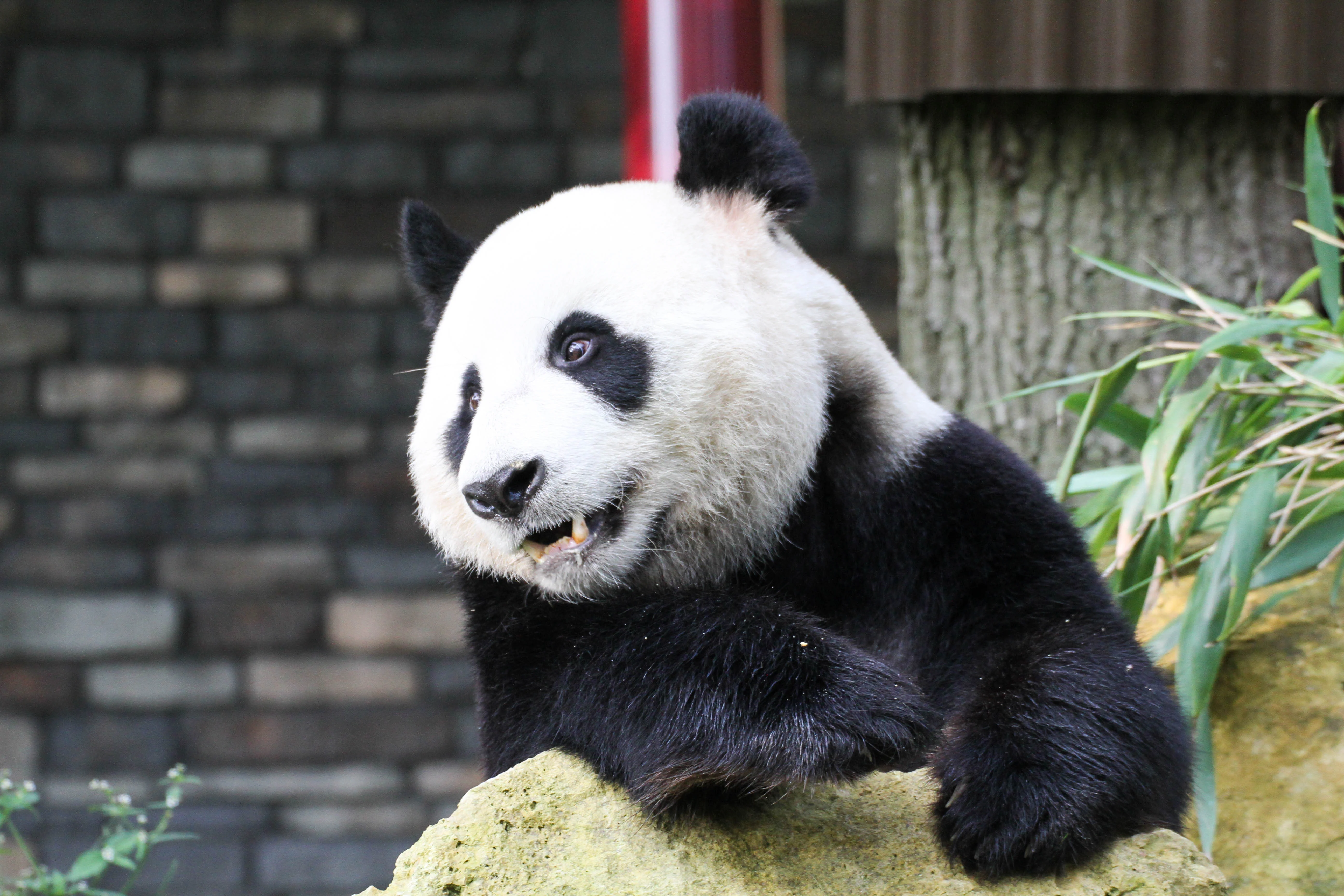 Ouwehands Dierenpark Rhenen