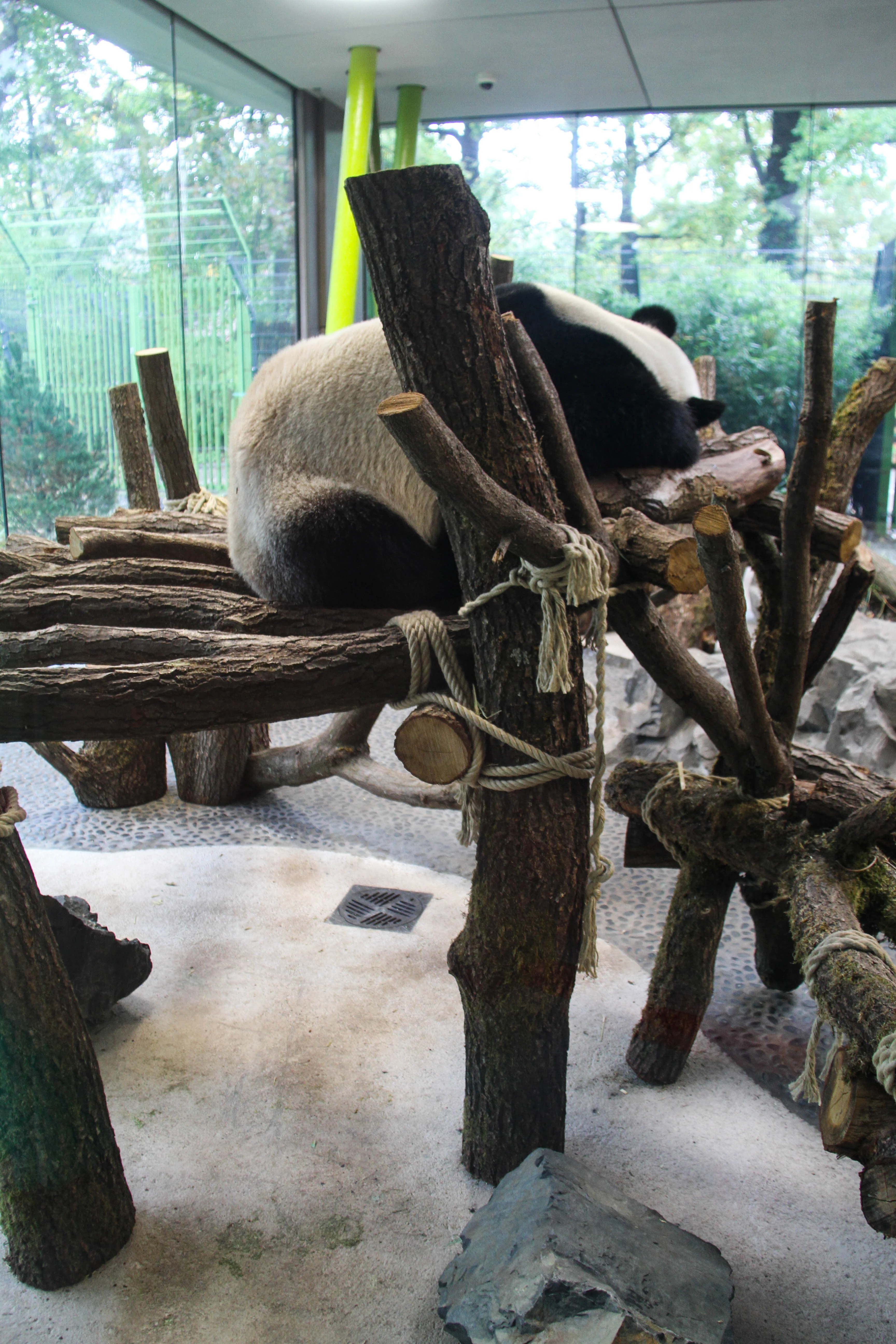 Zoo Berlin