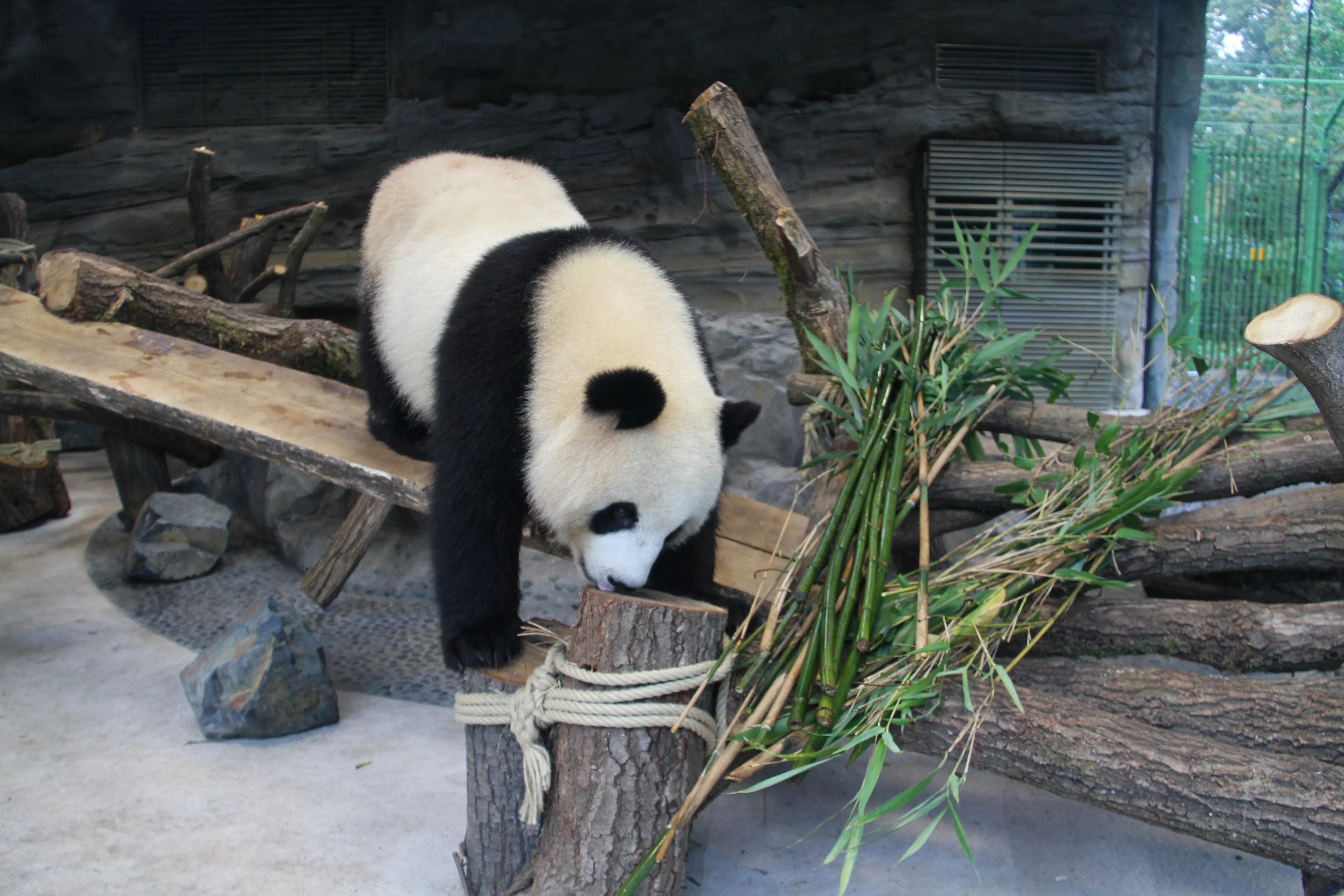 Zoo Berlin