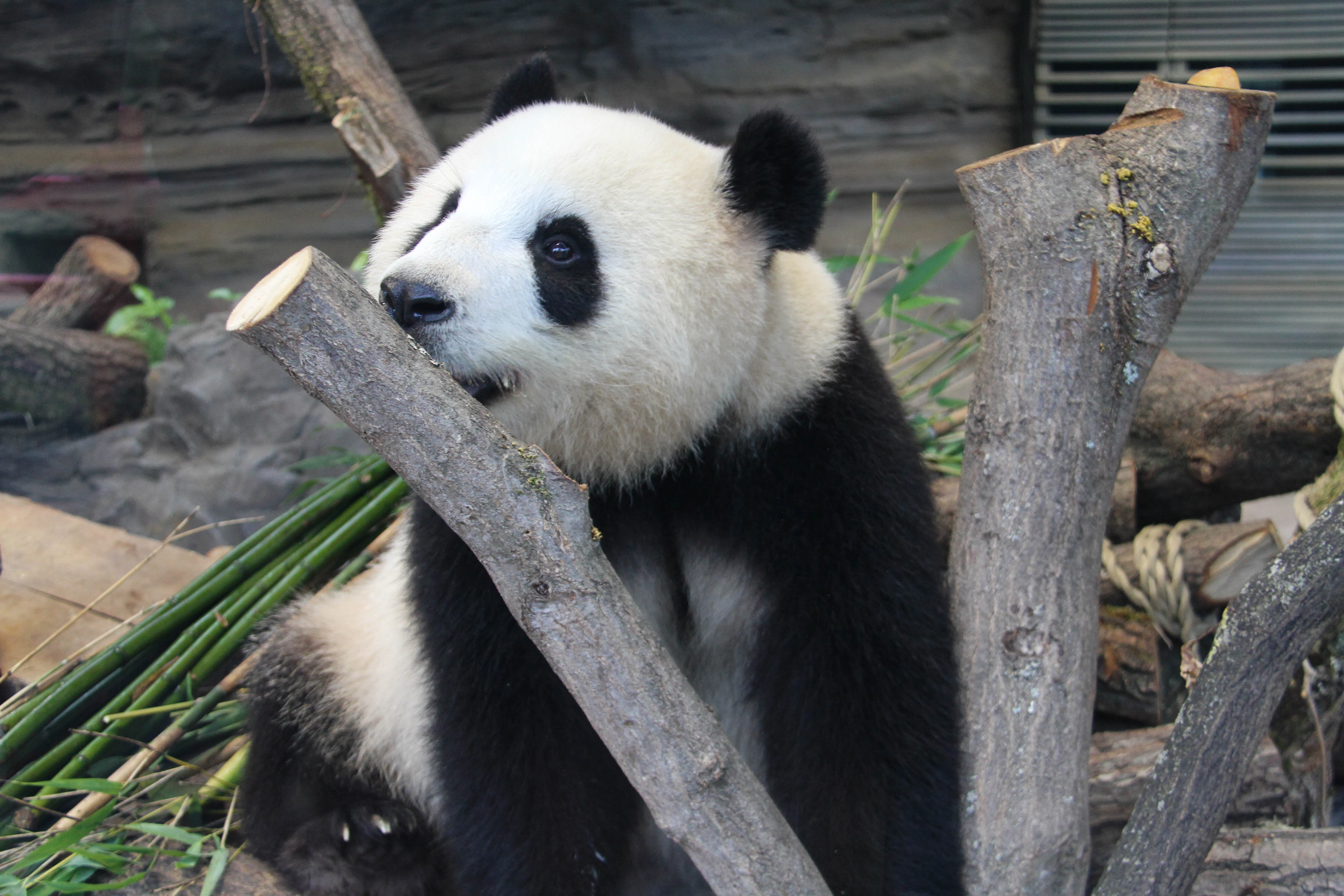 Zoo Berlin