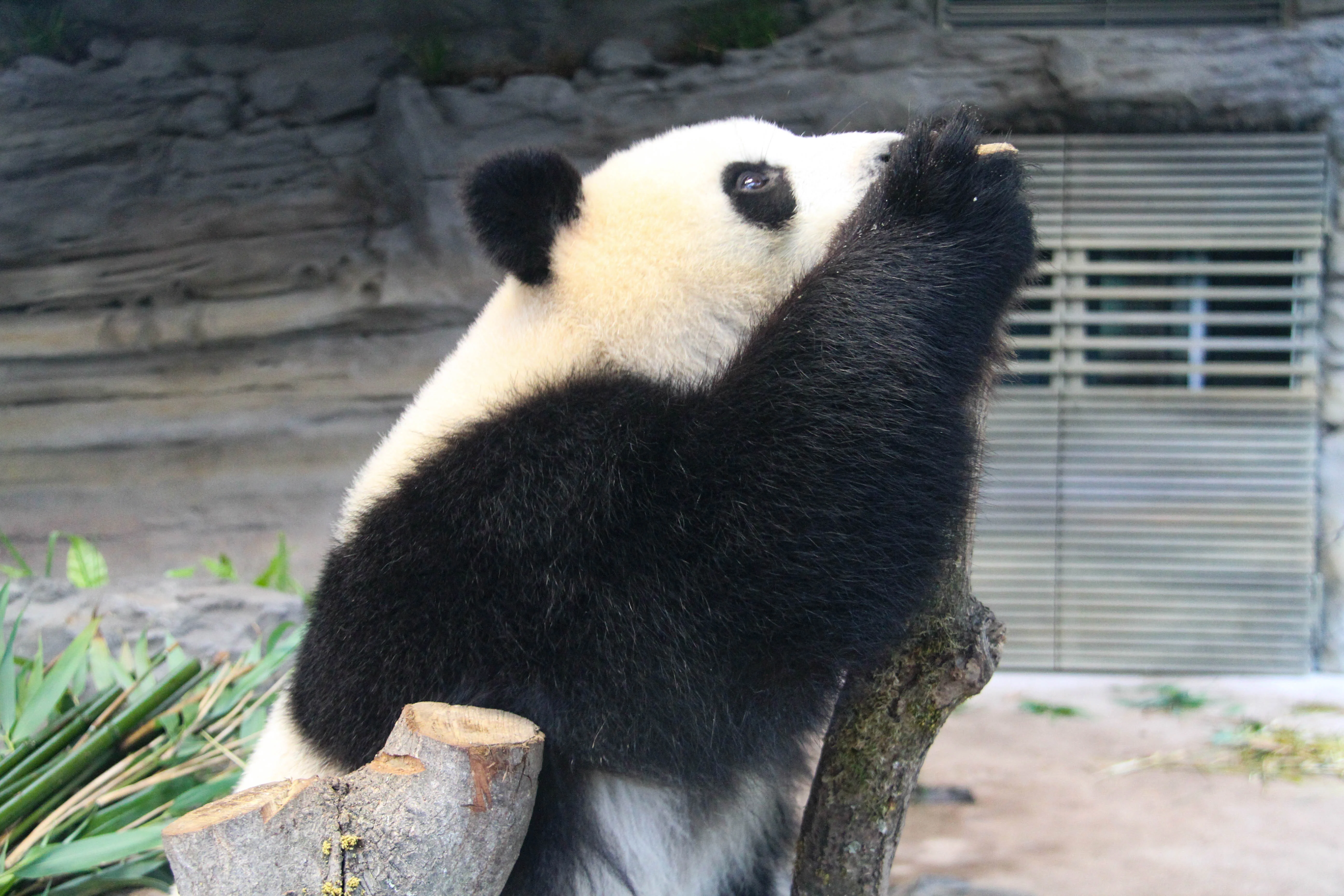 Zoo Berlin