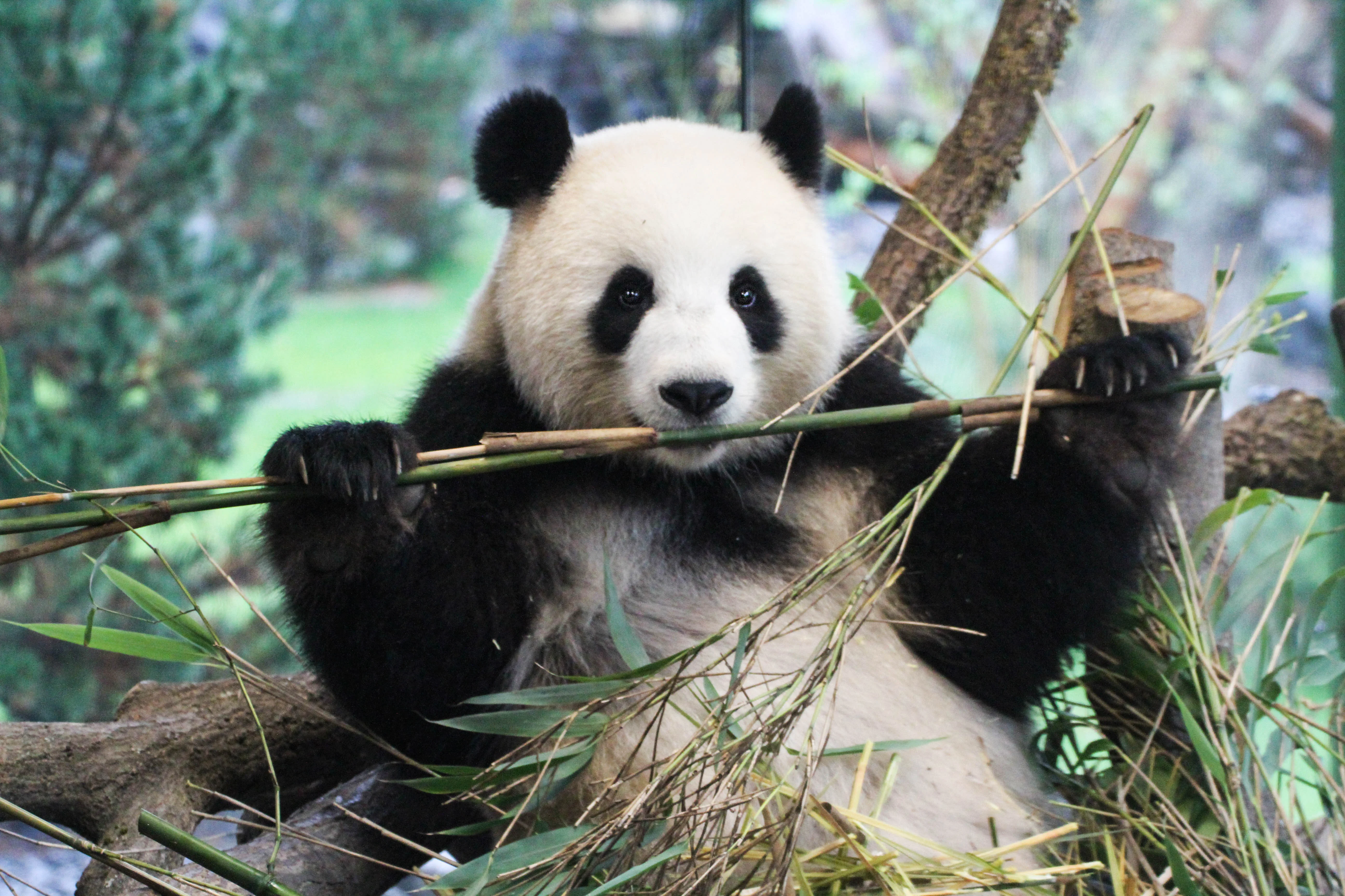 Zoo Berlin