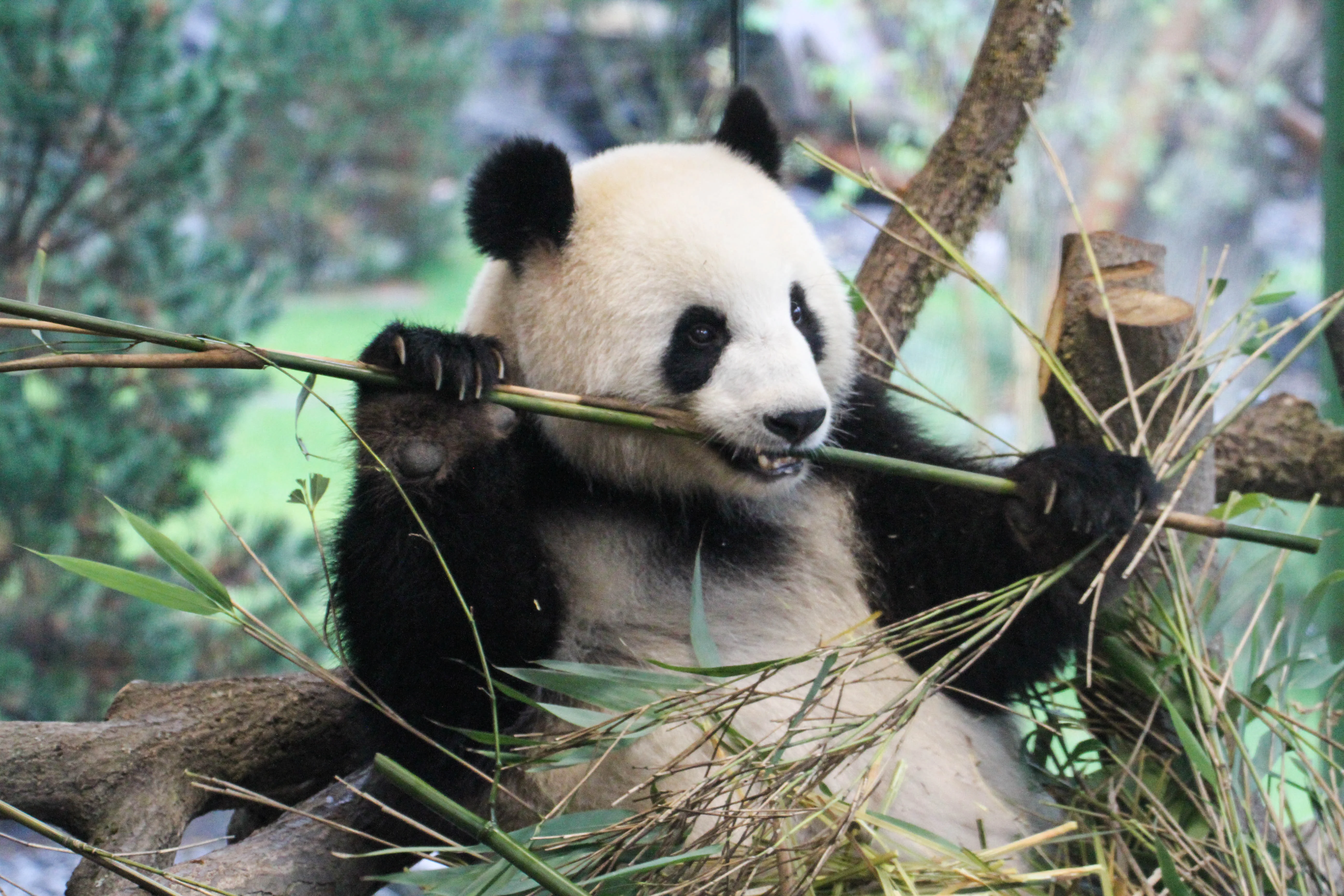 Zoo Berlin