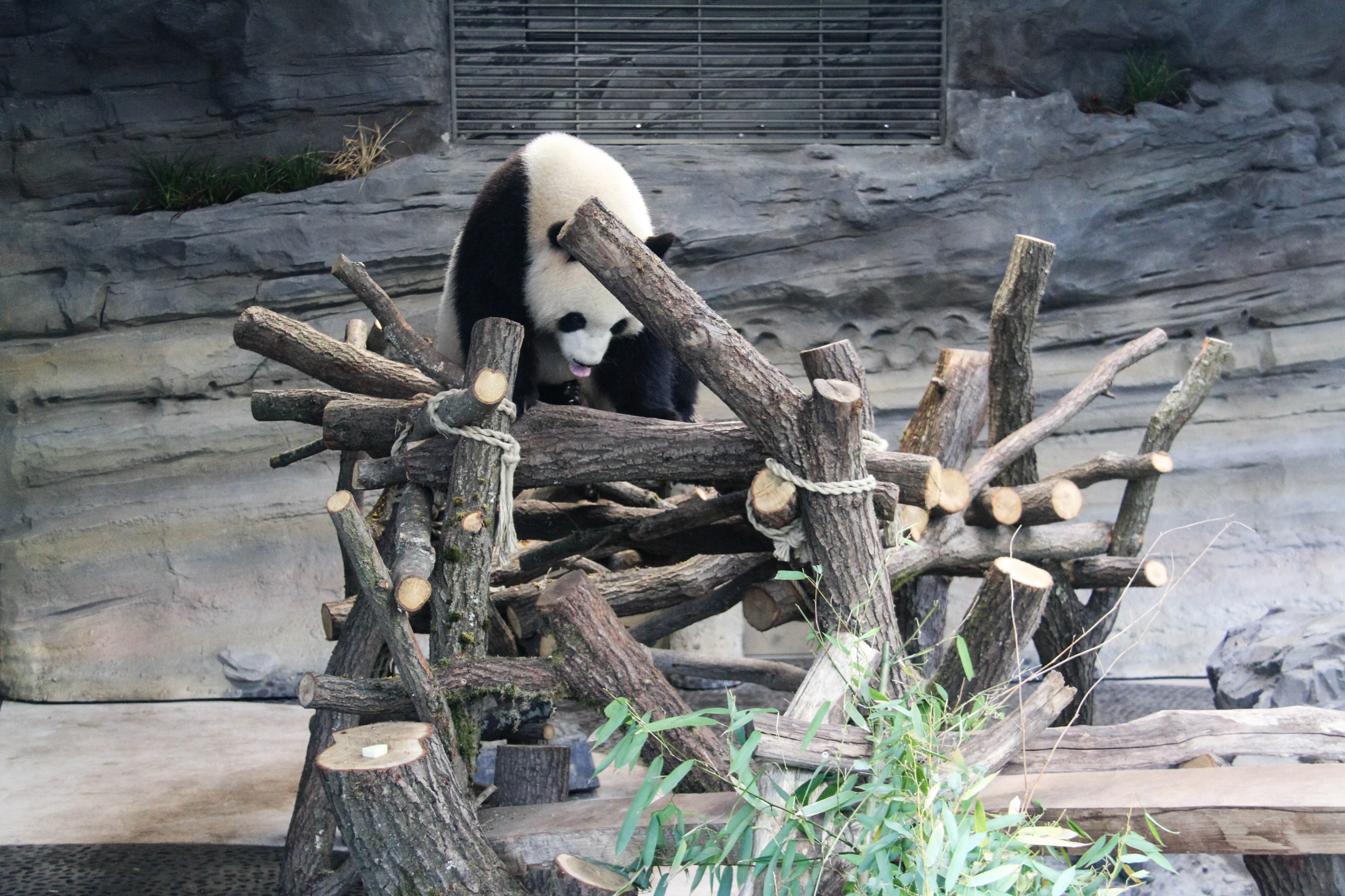 Zoo Berlin