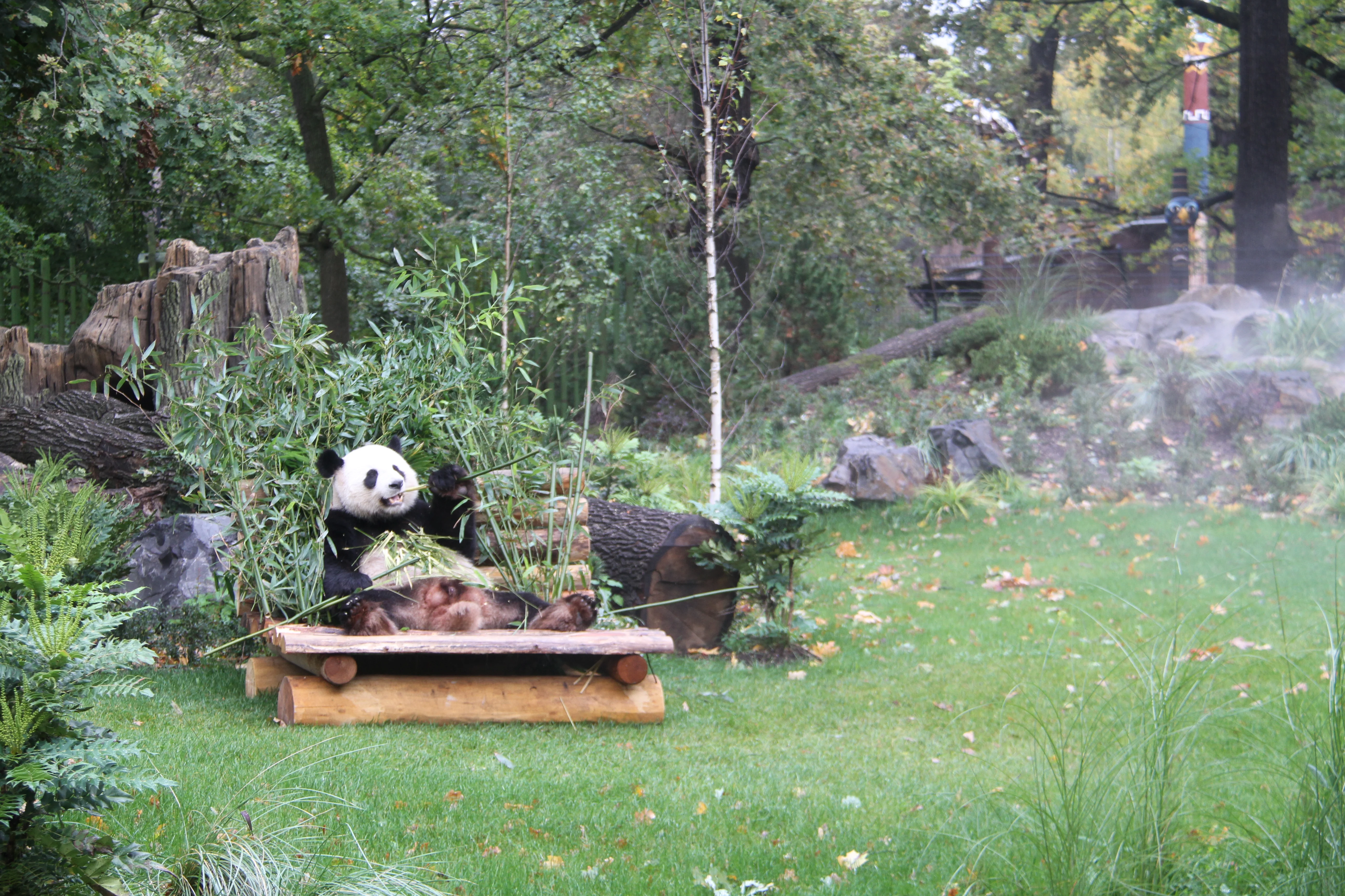 Zoo Berlin