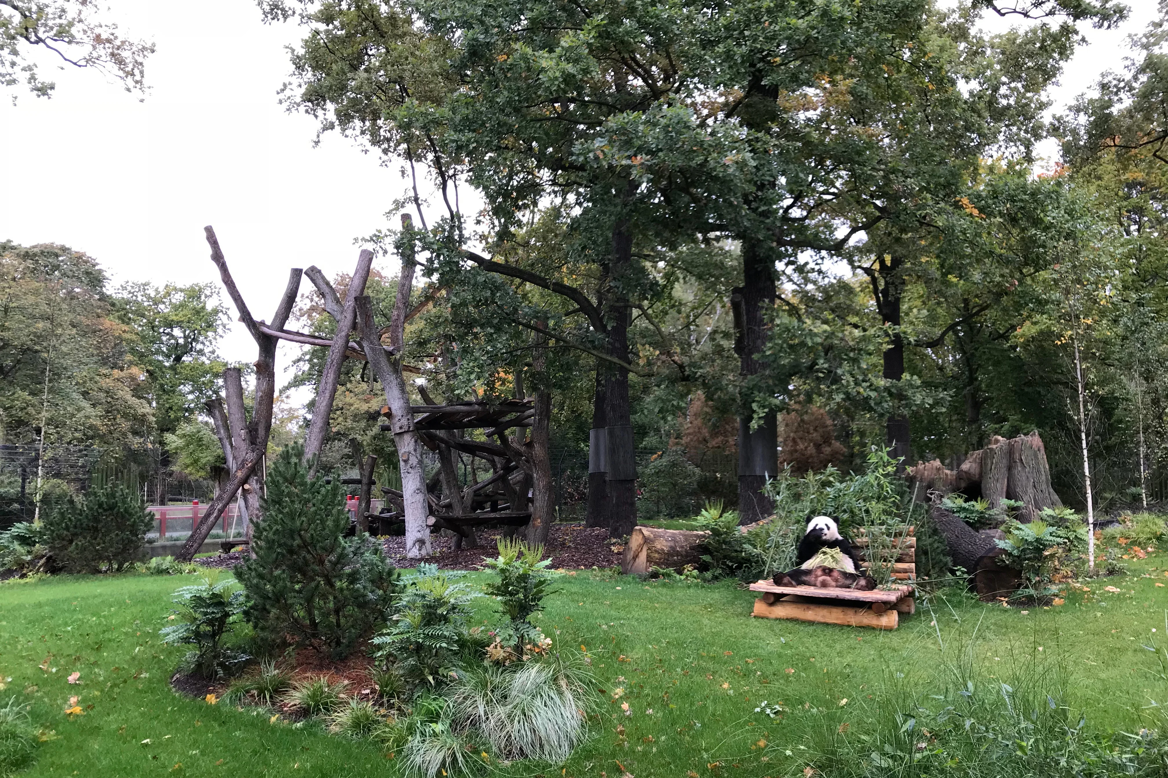 Zoo Berlin