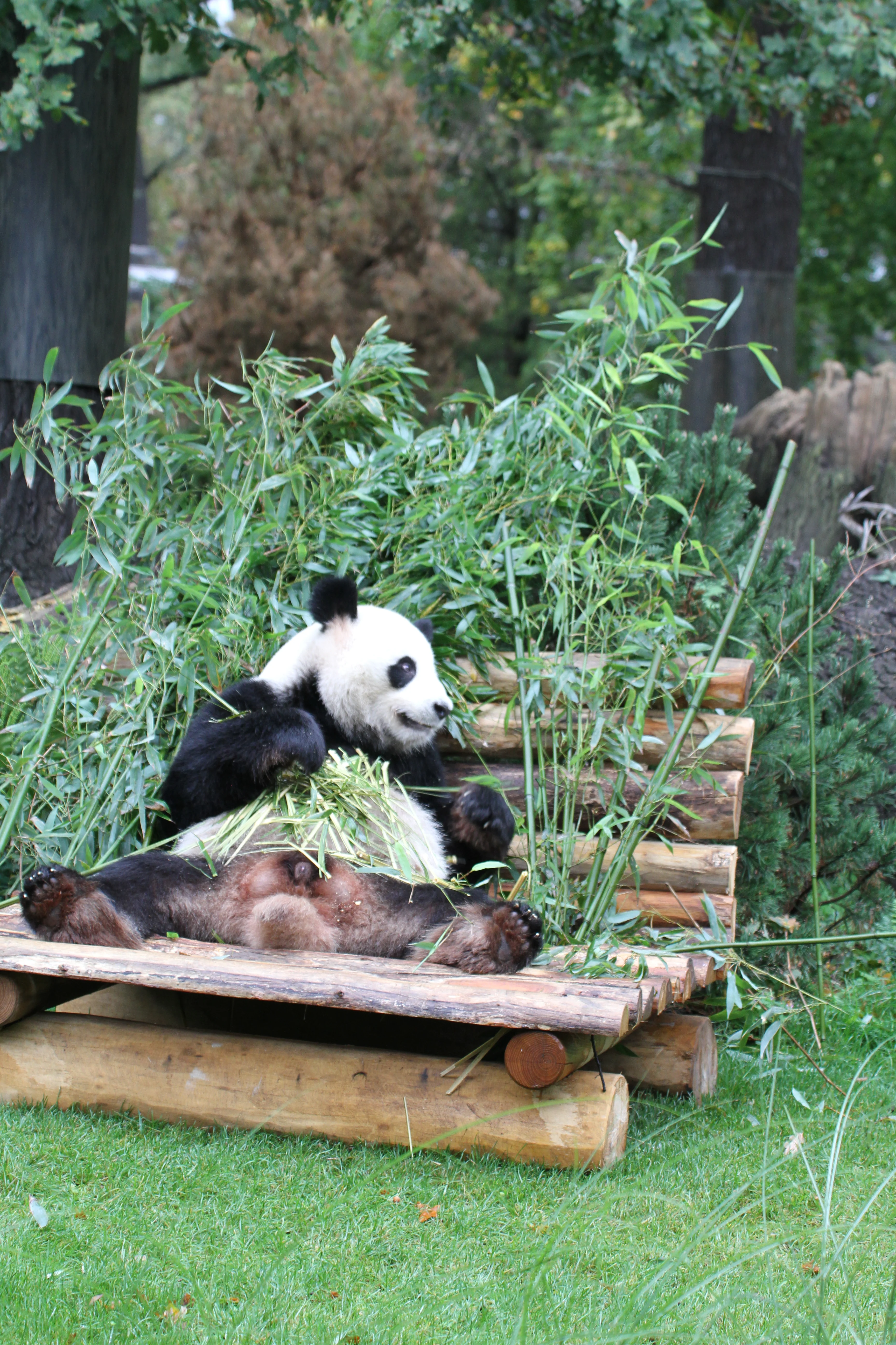 Zoo Berlin