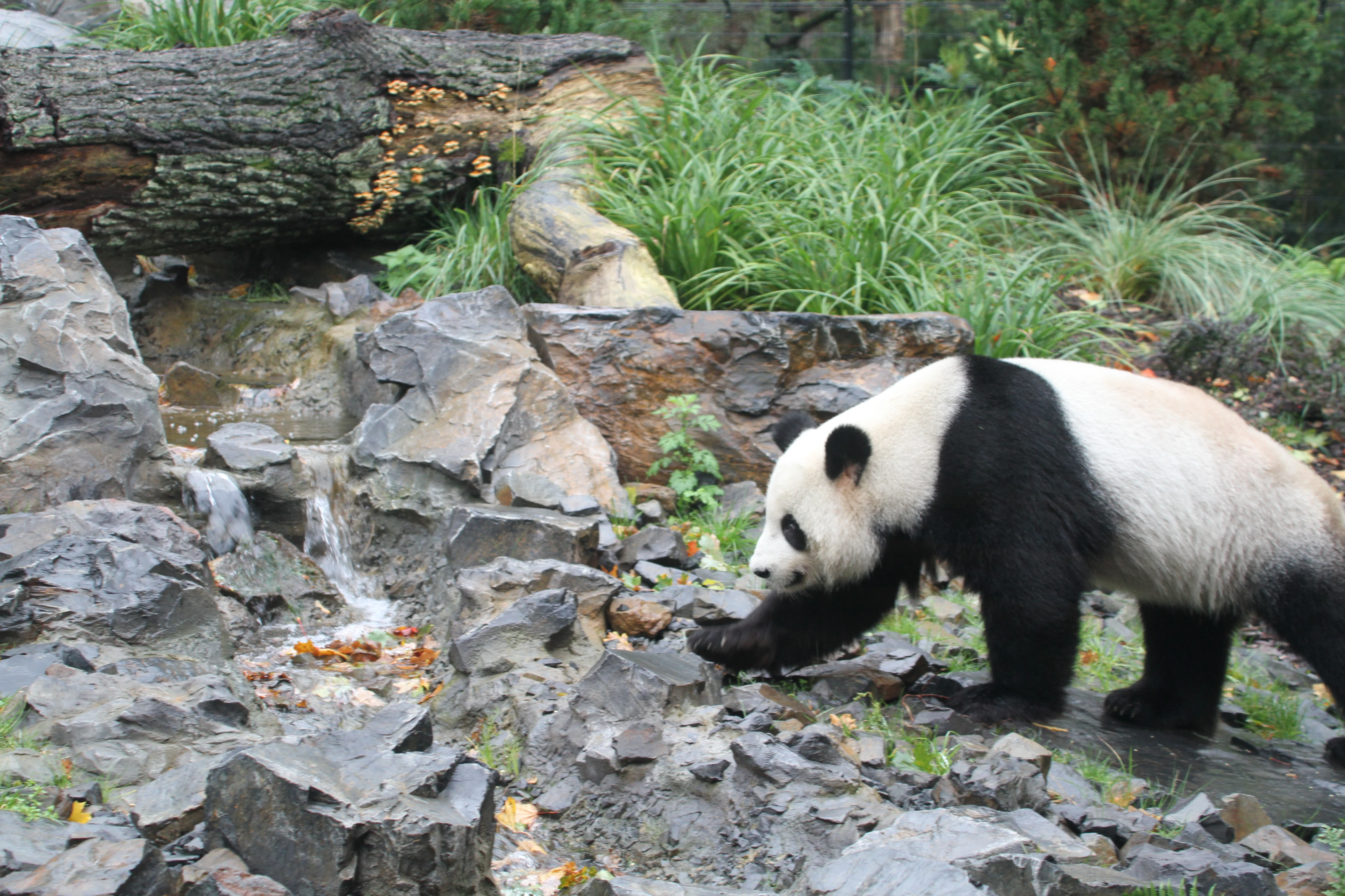 Zoo Berlin