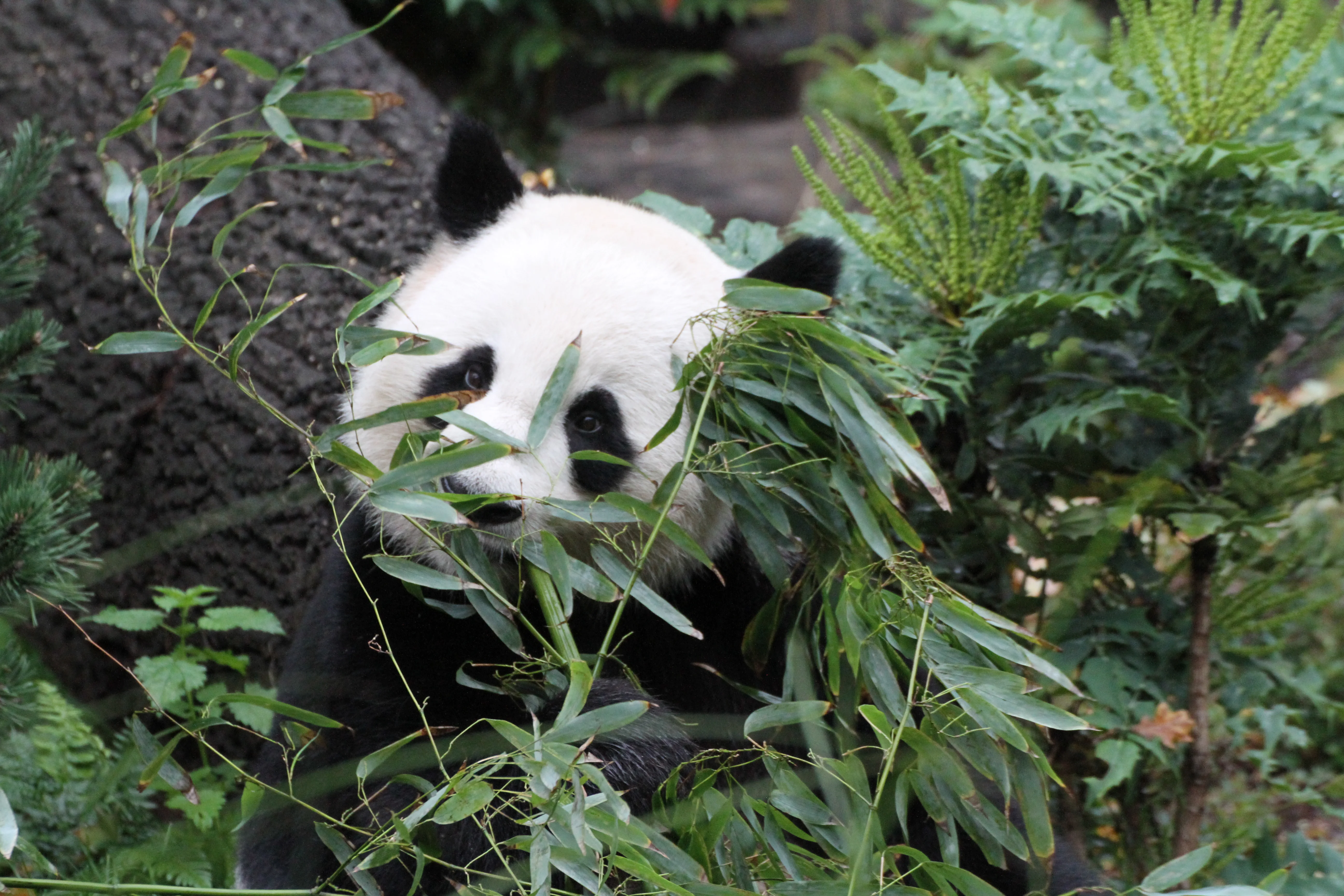 Zoo Berlin
