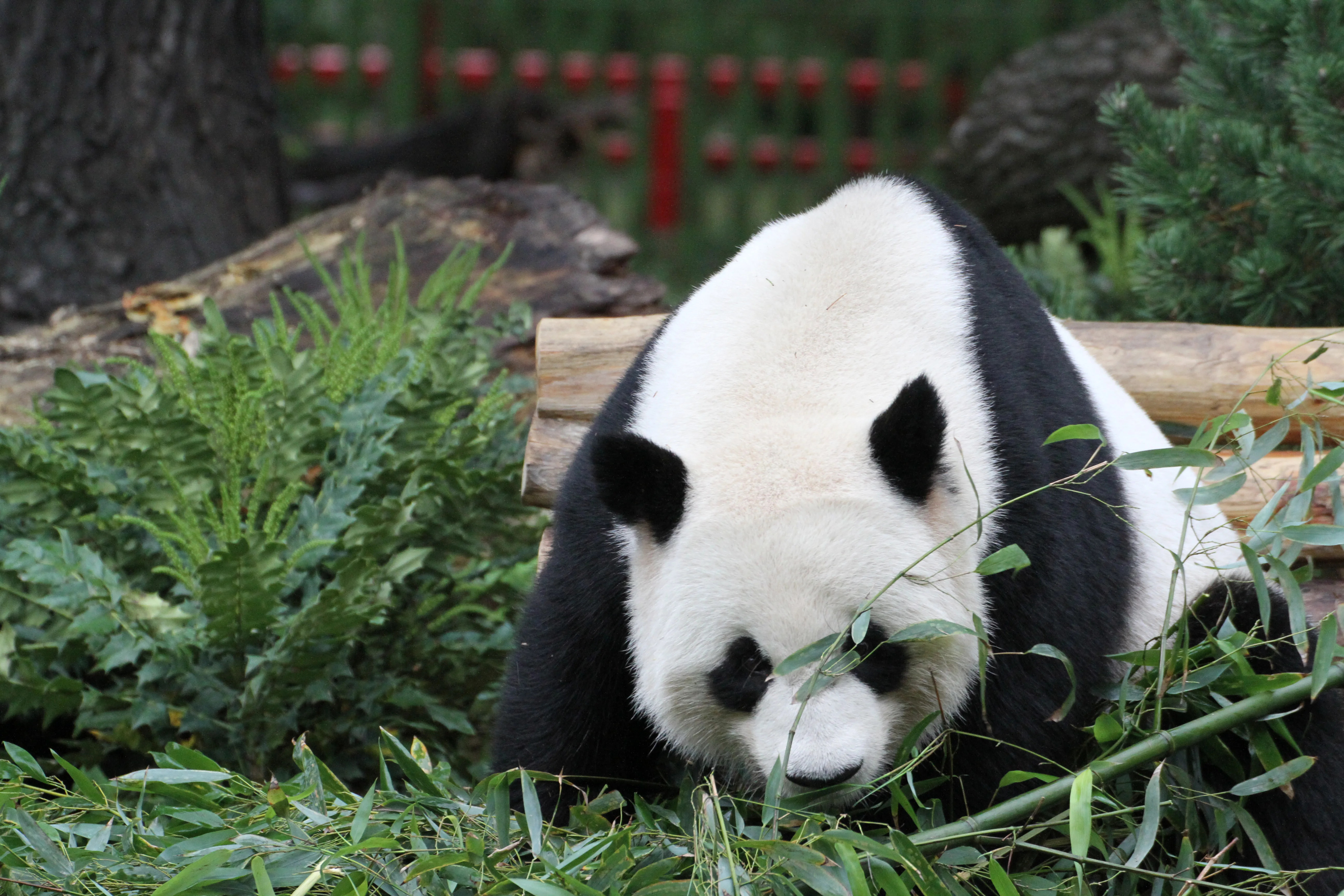 Zoo Berlin